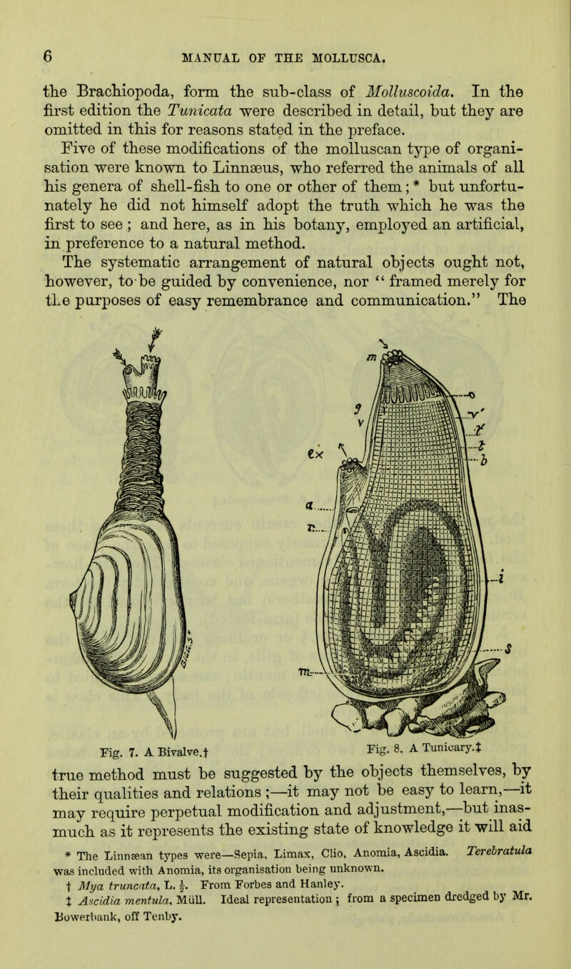 the BracHopoda, form the sub-class of Molluscoida. In the first edition the Tunicata were described in detail, but they are omitted in this for reasons stated in the preface. Five of these modifications of the molluscan type of organi- sation were known to Linnaeus, who referred the animals of all his genera of shell-fish to one or other of them; * but unfortu- nately he did not himself adopt the truth which he was the first to see ; and here, as in his botany, employed an artificial, in preference to a natural method. The systematic arrangement of natural objects ought not, however, to be guided by convenience, nor *' framed merely for the purposes of easy remembrance and communication. The Fig. 7. A Bivalve.t Fig. 8. A Tunioary.J true method must be suggested by the objects themselves, by their qualities and relations it may not be easy to learn,—it may require perpetual modification and adjustment,—but inas- much as it represents the existing state of knowledge it will aid * The Linnsean types were—Sepia, Limax, Clio, Anomia, Ascidia. Terebratula was included with Anomia, its organisation being unknown, t Ml/a truncata, L. |. From Forbes and Hanley. : Aacidia mentula, MiiU. Ideal representation ; from a specimen dredged by Mr. Uowerbank, off Tenby.