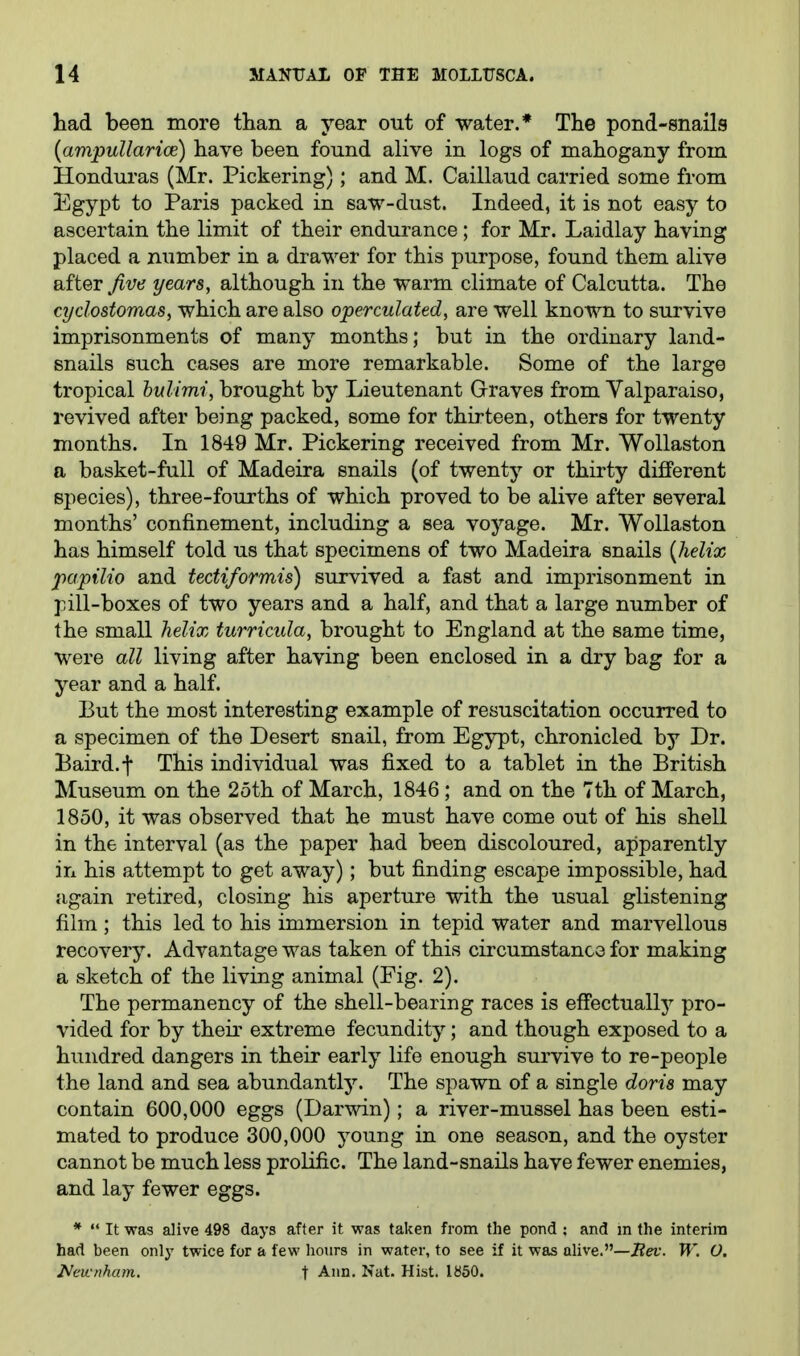 had been more than a year out of water.* The pond-snails {ampuUarice) have been found alive in logs of mahogany from Hondui'as (Mr. Pickering); and M. Caillaud carried some from Egypt to Paris packed in saw-dust. Indeed, it is not easy to ascertain the limit of their endurance ; for Mr. Laidlay having placed a number in a drawer for this purpose, found them alive BiiteT five years, although in the warm climate of Calcutta. The cydostomas, which are also operculated, are well known to survive imprisonments of many months; but in the ordinary land- snails such cases are more remarkable. Some of the large tropical hulimi, brought by Lieutenant Graves from Valparaiso, revived after being packed, some for thirteen, others for twenty months. In 1849 Mr. Pickering received from Mr. Wollaston a basket-full of Madeira snails (of twenty or thirty different species), three-fourths of which proved to be alive after several months' confinement, including a sea voyage. Mr. Wollaston has himself told us that specimens of two Madeira snails {helix papilio and tecUformis) survived a fast and imprisonment in pill-boxes of two years and a half, and that a large number of the small helix turricula, brought to England at the same time, were all living after having been enclosed in a dry bag for a year and a half. But the most interesting example of resuscitation occurred to a specimen of the Desert snail, from Egypt, chronicled by Dr. Baird.f This individual was fixed to a tablet in the British Museum on the 2oth of March, 1846 ; and on the 7th of March, 1850, it was observed that he must have come out of his shell in the interval (as the paper had been discoloured, apparently in his attempt to get away); but finding escape impossible, had again retired, closing his aperture with the usual glistening film ; this led to his immersion in tepid water and marvellous recover}^. Advantage was taken of this circumstance for making a sketch of the living animal (Fig. 2). The permanency of the shell-bearing races is effectually pro- vided for by their extreme fecundity; and though exposed to a hundred dangers in their early life enough survive to re-people the land and sea abundantly. The spawn of a single doris may contain 600,000 eggs (Darwin); a river-mussel has been esti- mated to produce 300,000 young in one season, and the oyster cannot be much less prolific. The land-snails have fewer enemies, and lay fewer eggs. * •* It was alive 498 days after it was taken from the pond : and m the interim had been only twice for a few lionrs in water, to see if it was alive.—jBet. W. O. 2^ewnham, t Ann. Nat. Hist. 1850.