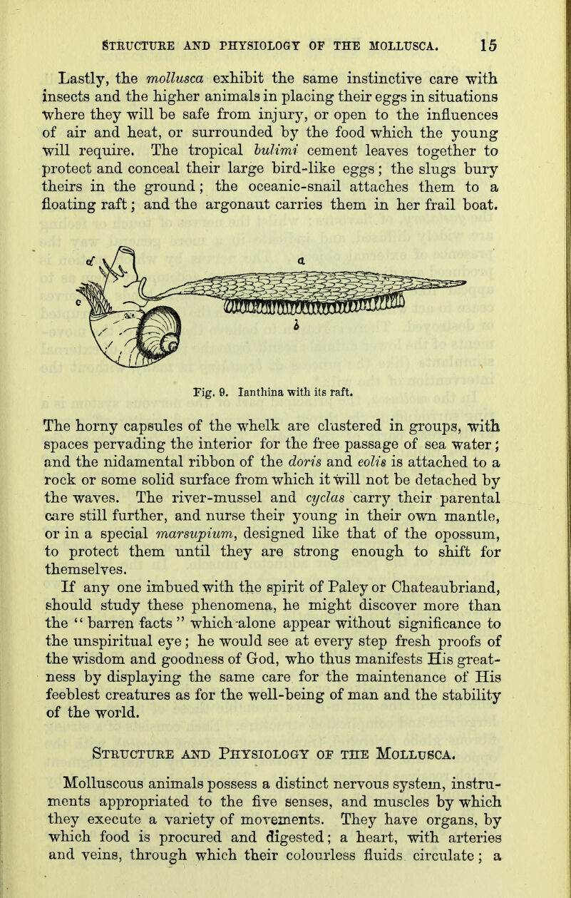 Lastly, the mollusca exhibit the same instinctive care with insects and the higher animals in placing their eggs in situations Vhere they will be safe from injury, or open to the influences of air and heat, or surrounded by the food which the young will require. The tropical hulimi cement leaves together to protect and conceal their large bird-like eggs; the slugs bury theirs in the ground; the oceanic-snail attaches them to a floating raft; and the argonaut carries them in her frail boat. Fig. 9. lanthina with its raft. The horny capsules of the whelk are clustered in groups, with spaces pervading the interior for the free passage of sea water; and the nidamental ribbon of the doris and eolu is attached to a rock or some solid surface from which it will not be detached by the waves. The river-mussel and cydas carry their parental care still further, and nurse their young in their own mantle, or in a special marsupium, designed like that of the opossum, to protect them until they are strong enough to shift for themselves. If any one imbued with the spirit of Paley or Chateaubriand, should study these phenomena, be might discover more than the  barren facts  which-alone appear without significance to the unspiritual eye; he would see at every step fresh proofs of the wisdom and goodness of God, who thus manifests His great- ness by displaying the same care for the maintenance of His feeblest creatures as for the well-being of man and the stability of the world. Stbtjcttjue ajo) Physiology oe the Mollusca. Molluscous animals possess a distinct nervous system, instru- ments appropriated to the five senses, and muscles by which they execute a variety of movements. They have organs, by which food is procured and digested; a heart, with arteries and veins, through which their colourless fluids circulate ; a