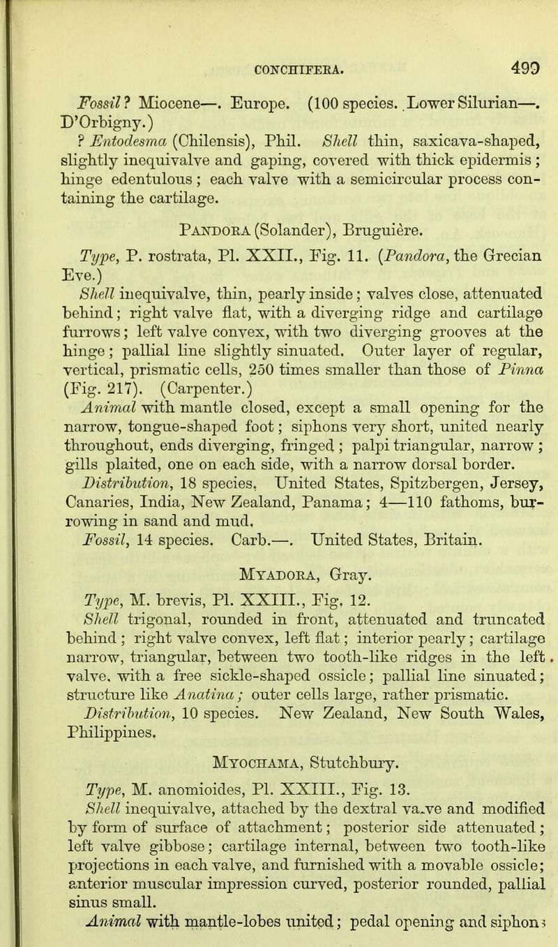 Fossil? Miocene—. Europe. (100 species. Lower Silurian—. D'Orbigny.) ? Entodesma (Chilensis), Phil. Shell thin, saxicaya-shaped, slightly inequivalve and gaping, coyered with thick epidermis ; hinge edentulous ; each yalye with a semicircular process con- taining the cartilage. pA]srDOE,A(Solander), Bruguiere. Type, P. rostrata, PI. XXII., Pig. 11. {Pandora, Grecian Eye.) Shell inequiyalye, thin, pearly inside; yalyes close, attenuated behind; right yalye fiat, with a diyerging ridge and cartilage furrows; left yalye cony ex, with two diyerging grooyes at the hinge; pallial line slightly sinuated. Outer layer of regular, vertical, prismatic cells, 250 times smaller than those of Pinna (Fig. 217). (Carpenter.) Animal with mantle closed, except a small opening for the narrow, tongue-shaped foot; siphons yery short, united nearly throughout, ends diyerging, fringed ; palpi triangular, narrow ; gills plaited, one on each side, with a narrow dorsal border. Distribution, 18 species. United States, Spitzbergen, Jersey, Canaries, India, New Zealand, Panama; 4—110 fathoms, bur- rowing in sand and mud. Fossil, 14 species. Carb.—. United States, Britain. Myadora, Gray. Type, M. breyis, PL XXIII., Pig, 12. Shell trigorial, rounded in front, attenuated and truncated behind ; right yalye conyex, left flat; interior pearly; cartilage narrow, triangular, between two tooth-like ridges in the left. yalye, with a free sickle-shaped ossicle; pallial line sinuated; structure like Anatina; outer cells large, rather prismatic. Distrihution, 10 species. Ney/ Zealand, New South Wales, Philippines. Myochama, Stutchbury. Type, M. anomioides, PI. XXIIL, Fig. 13. Shell inequiyalye, attached by the dextral ya^ye and modified by form of surface of attachment; posterior side attenuated ; left yalye gibbose; cartilage internal, between two tooth-like projections in each yalye, and furnished with a moyable ossicle; anterior muscular impression curyed, posterior rounded, pallial sinus small. Animal with mantle-lobes united; pedal opening and siphon:;