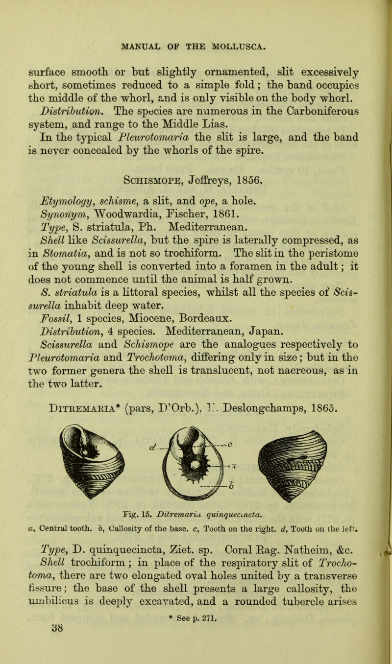 surface smooth or but slightly ornamented, slit excessively short, sometimes reduced to a simple fold; the band occupies the middle of the whorl, and is only visible on the body whorl. Distribution. The spocies are namerous in the Carboniferous system, and range to the Middle Lias. In the typical Pleurotomaria the slit is large, and the band is never concealed by the whorls of the spii-e. ScHiSMOPE, Jeffreys, 1856. Etymology, schisms, a slit, and ope, a hole. Synonym, Woodwardia, Fischer, 1861. Type, S. striatula, Ph. Mediterranean. Shell like Scissurella, but the spire is laterally compressed, as in Stomatia, and is not so trochiform. The slit in the peristome of the young shell is converted into a foramen in the adult; it does not commence until the animal is half grown. S. striatula is a littoral species, whilst all the species of Scis- surella inhabit deep water. Fossil, 1 species, Miocene, Bordeaux. Distribution, 4 species. Mediterranean, Japan. Scissurella and Schismope are the analogues respectively to Pleurotomaria and Trochotoma, differing only in size; but in the two former genera the shell is translucent, not nacreous, as in the two latter. DiTREMAEiA* (pars, D'Orb.),. V.. Deslongchamps, 1865. Fig. 15. Ditremariu quinquecuicta. a. Central tooth, b. Callosity of the base, c, Tooth on the right, d, Tooth on the lefi. Type, D. quinquecincta, Ziet. sp. Coral Eag. Natheim, &c. Shell trochiform; in place of the respiratory slit of Trocho- toma, there are two elongated oval holes united by a transverse hssure; the base of the shell presents a large callosity, the umbilicus is deeply excavated, and a rounded tubercle arises ♦ See p. 271.