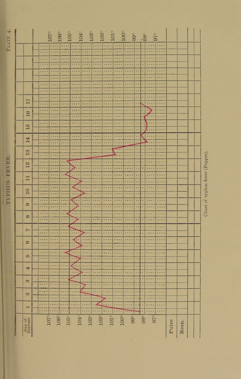TYPHUS FEVER. Plate Chart of typhus fever (Pepper).