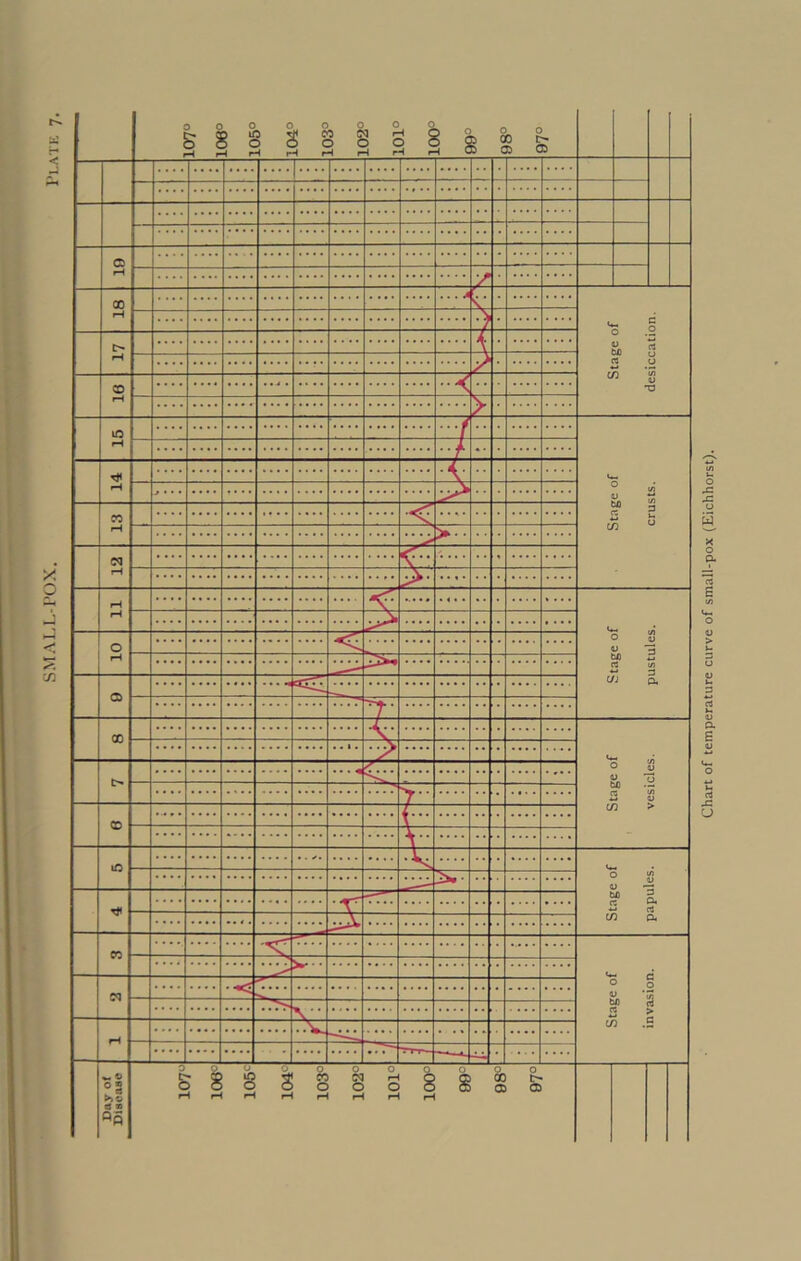 SMALLPOX. Plate Chart of temperature curve of small-pox (Eichhorst).