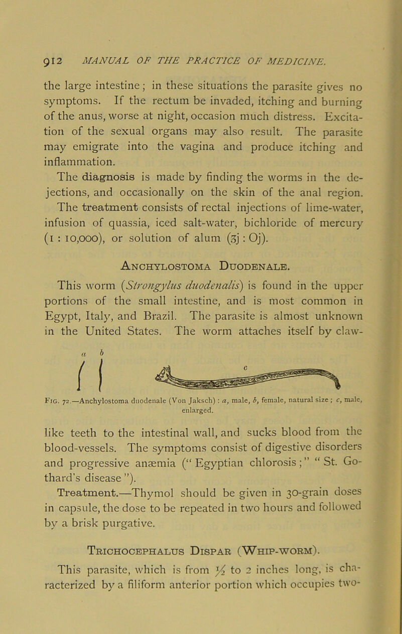 the large intestine; in these situations the parasite gives no symptoms. If the rectum be invaded, itching and burning of the anus, worse at night, occasion much distress. Excita- tion of the sexual organs may also result. The parasite may emigrate into the vagina and produce itching and inflammation. The diagnosis is made by finding the worms in the de- jections, and occasionally on the skin of the anal region. The treatment consists of rectal injections of lime-water, infusion of quassia, iced salt-water, bichloride of mercury (i : 10,000), or solution of alum (gj: Oj). Anchylostoma Duodenale. This worm (Strongylus duodenalis) is found in the upper portions of the small intestine, and is most common in Egypt, Italy, and Brazil. The parasite is almost unknown in the United States. The worm attaches itself by claw- a b ( | Fig. 72.—Anchylostoma duodenale (Von Jaksch) : a, male, b, female, natural size ; c, male, enlarged. like teeth to the intestinal wall, and sucks blood from the blood-vessels. The symptoms consist of digestive disorders and progressive anaemia (“Egyptian chlorosis;” “St. Go- thard’s disease ”). Treatment.—Thymol should be given in 30-grain doses in capsule, the dose to be repeated in two hours and followed by a brisk purgative. Trichocephalus Dispar (Whip-worm). This parasite, which is from y to 2 inches long, is cha- racterized by a filiform anterior portion which occupies two-
