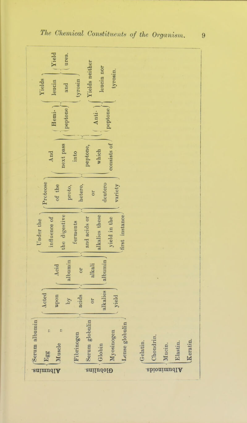 •sutTiinq[v spiouiuinqiv