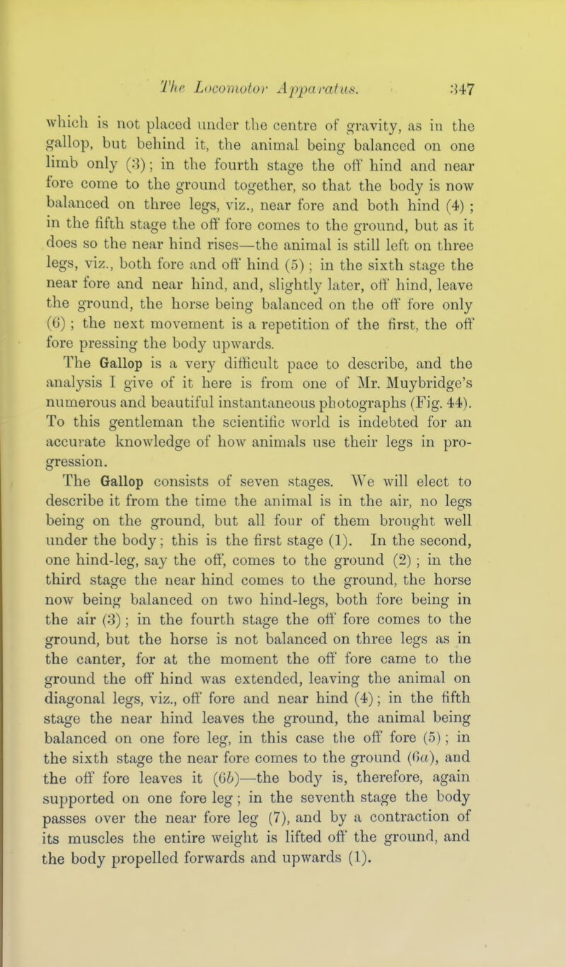 which is not phiced uiidor the centre of gravity, as in the gallop, but behind it, the animal being balanced on one limb only (3); in the fourth stage the off hind and near fore come to the ground together, so that the body is now balanced on three legs, viz., near fore and both hind (4) ; in the fifth stage the off fore comes to the ground, but as it does so the near hind rises—the animal is still left on three legs, viz., both fore and off hind (5); in the sixth stage the near fore and near hind, and, slightly later, off hind, leave the ground, the horse being balanced on the off' fore only (G) ; the next movement is a repetition of the first, the off fore pressing the body upwards. The Gallop is a very difficult pace to describe, and the analysis I give of it here is from one of Mr. Muybridge's numerous and beautiful instantaneous photographs (Fig. 44). To this gentleman the scientific world is indebted for an accurate knowledge of how animals use their legs in pro- gression. The Gallop consists of seven stages. We will elect to describe it from the time the animal is in the air, no legs being on the ground, but all four of them brought well under the body; this is the first stage (1). In the second, one hind-leg, say the off', comes to the ground (2) ; in the third stage the near hind comes to the ground, the horse now being balanced on two hind-legs, both fore being in the air (3); in the fourth stage the off' fore comes to the ground, but the horse is not balanced on three legs as in the canter, for at the moment the off fore came to the ground the off' hind was extended, leaving the animal on diagonal legs, viz., off' fore and near hind (4); in the fifth stage the near hind leaves the ground, the animal being balanced on one fore leg, in this case the off fore (5); in the sixth stage the near fore comes to the ground (Oct), and the off fore leaves it (66)—the bod}' is, therefore, again supported on one fore leg; in the seventh stage the body passes over the near fore leg (7), and by a contraction of its muscles the entire weight is lifted off' the ground, and the body propelled forwards and upwards (1).