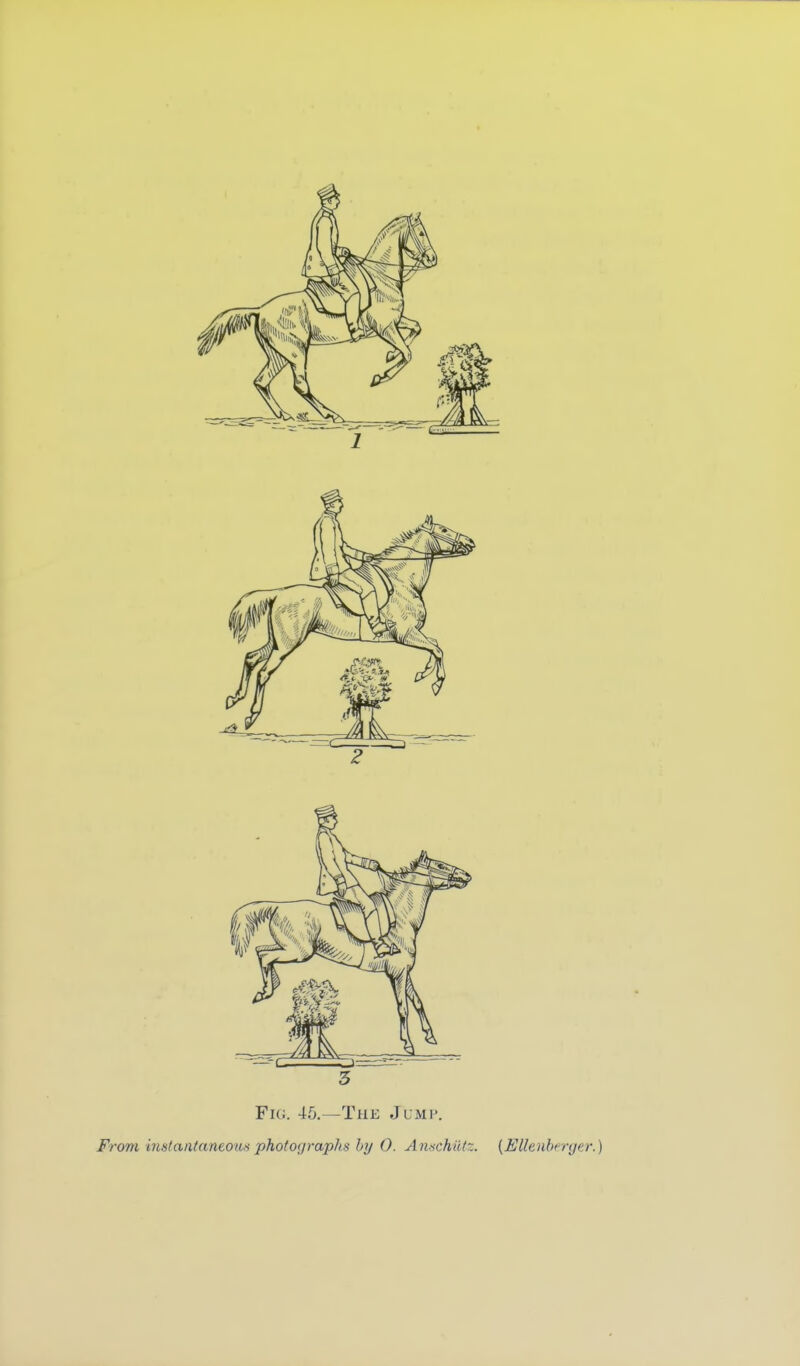 5 Fig. 45.—The Jump.