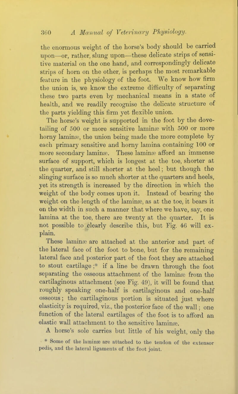 the enormous weight of the horse's body should be carried upon—or, rather, sking upon—these dehcate strips of sensi- tive material on the one hand, and correspondingly delicate strips of horn on the other, is perhaps the most remarkable feature in the physiology of the foot. We know how firm the union is, we know the extreme difficulty of separating these two parts even by mechanical means in a state of health, and we readily recognise the delicate structure of the parts yielding this firm yet flexible union. The horse's weight is supported in the foot by the dove- tailing of 500 or more sensitive laminae with 500 or more horny lamina-, the union being made the more complete by each primar}^ sensitive and horny lamina containing 100 or more secondary lamina?. These laminae afford an immense surface of support, which is longest at the toe, shorter at the quarter, and still shorter at the heel; but though the slinging surface is so much shorter at the quarters and heels, yet its strength is increased by the direction in which the weight of the body comes upon it. Instead of bearing the weight on the length of the laminae, as at the toe, it bears it on the width in such a manner that where we have, say, one lamina at the toe, there are twenty at the quarter. It is not possible to clearly describe this, but Fig. 46 will ex- plain. These lamina? are attached at the anterior and part of the lateral face of the foot to bone, but for the remaining lateral face and posterior part of the foot they are attached to stout cartilage ;* if a line be drawn through the foot separating the osseous attachment of the lamina? from the cartilaginous attachment (see Fig. 49), it will be found that roughly speaking one-half is cartilaginous and one-half osseous; the cartilaginous portion is situated just where elasticity is required, viz., the posterior face of the wall; one function of the lateral cartilages of the foot is to afford an elastic wall attachment to the sensitive laminae. A horse's sole carries but little of his weight, only the * Some of the laminae are attached to the tendon of the extensor pedis, and the lateral ligaments of the foot joint.