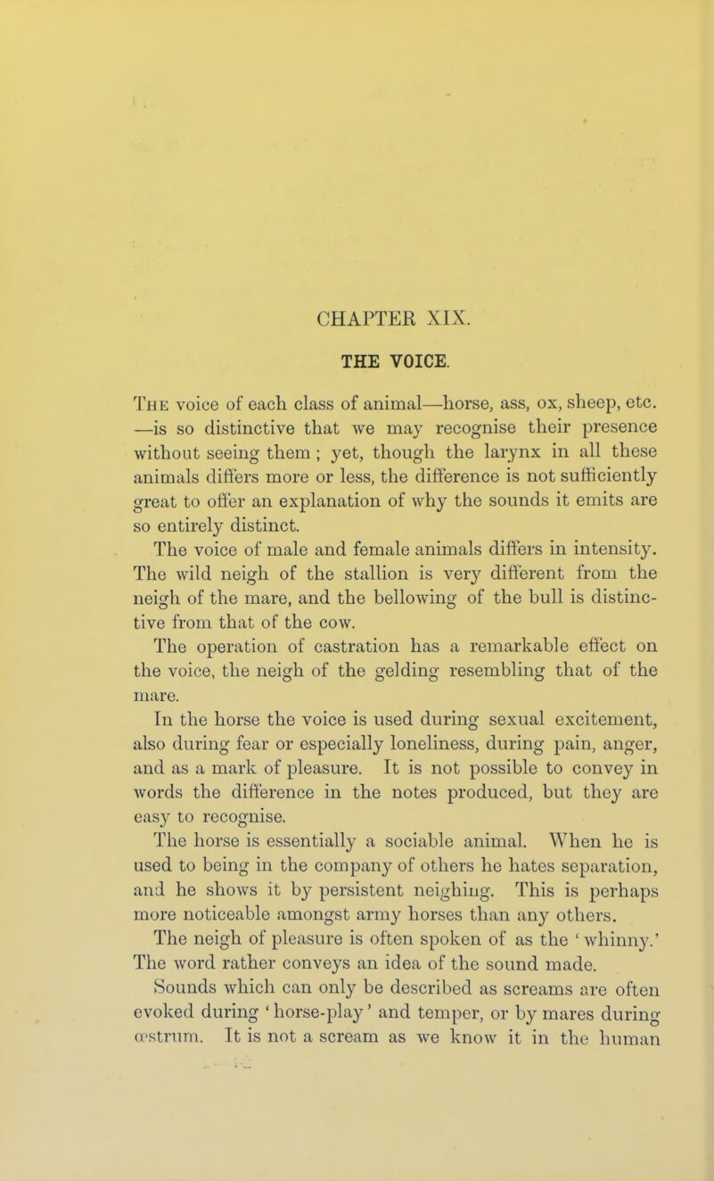 THE VOICE. The voice of each class of animal—horse, ass, ox, sheep, etc. —is so distinctive that we may recognise their presence without seeing them; yet, though the larynx in all these animals diftiers more or less, the difference is not sufficiently great to offer an explanation of why the sounds it emits are so entirely distinct. The voice of male and female animals differs in intensity. The wild neigh of the stallion is very different from the neigh of the mare, and the bellowing of the bull is distinc- tive from that of the cow. The operation of castration has a remarkable effect on the voice, the neigh of the gelding resembling that of the mare. In the horse the voice is used during sexual excitement, also during fear or especially loneliness, during pain, anger, and as a mark of pleasure. It is not possible to convey in words the difference in the notes produced, but they are easy to recognise. The horse is essentially a sociable animal. When he is used to being in the company of others he hates separation, and he shows it by persistent neighing. This is perhaps more noticeable amongst army horses than any others. The neigh of pleasure is often spoken of as the 'whinny.' The word rather conveys an idea of the sound made. Sounds which can only be described as screams are often evoked during ' horse-play' and temper, or by mares during (pstrum. It is not a scream as we know it in the human