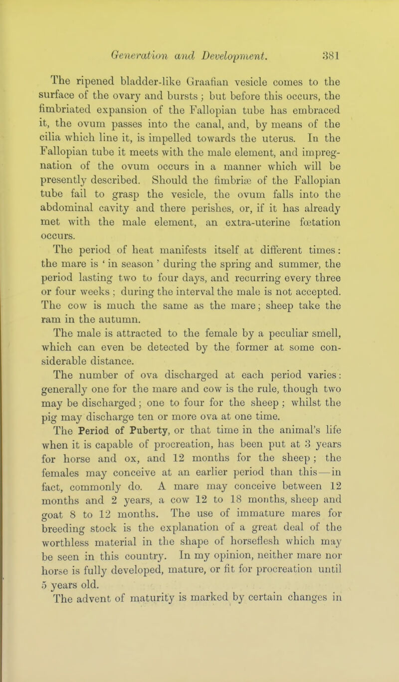 The ripened bladder-like Graafian vesicle comes to the surface of the ovary and bursts; but before this occurs, the fimbriated expansion of the Fallopian tube has embraced it, the ovum passes into the canal, and, by means of the cilia which line it, is impelled towards the uterus. In the Fallopian tube it meets with the male element, and impreg- nation of the ovum occurs in a manner which will be presently described. Should the fimbriae of the Fallopian tube fail to grasp the vesicle, the ovum falls into the abdominal cavity and there perishes, or, if it has already met with the male element, an extra-uterine fcetation occurs. The period of heat manifests itself at different times: the mare is ' in season ' during the spring and summer, the period lasting two to four days, and recurring every three or four weeks ; during the interval the male is not accepted. The cow is much the same as the mare; sheep take the ram in the autumn. The male is attracted to the female by a peculiar smell, which can even be detected by the former at some con- siderable distance. The number of ova discharged at each period varies: generally one for the mare and cow is the rule, though two may be discharged; one to four for the sheep ; whilst the pig may discharge ten or more ova at one time. The Period of Puberty, or that time in the animal's life when it is capable of procreation, has been put at 'S years for horse and ox, and 12 months for the sheep ; the females may conceive at an earlier period than this — in fact, commonly do. A mare may conceive between 12 months and 2 years, a cow 12 to 18 months, sheep and o-oat 8 to 12 months. The use of immature mares for o breeding stock is the explanation of a great deal of the worthless material in the shape of horseflesh which may be seen in this country. In my opinion, neither mare nor horse is fully developed, mature, or fit for procreation until 5 years old. The advent of maturity is marked by certain changes in