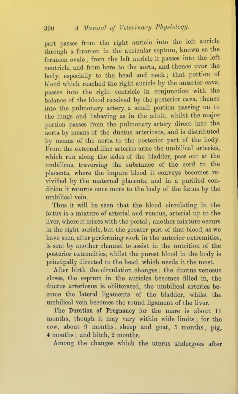 part passes from the right auricle into the left auricle through a foraraen in the auricular septum, known as the foramen ovale; from the left auricle it passes into the left ventricle, and from here to the aorta, and thence over the body, especially to the head and neck; that portion of blood which reached the right auricle by the anterior cava, passes into the right ventricle in conjunction with the balance of the blood received by the posterior cava, thence into the pulmonary artery, a small portion passing on to the lungs and behaving as in the adult, whilst the major portion passes from the pulmonary artery direct into the aorta by means of the ductus arteriosus, and is distributed by means of the aorta to the posterior part of the body. From the external iliac arteries arise the umbilical arteries, which run along the sides of the bladder, pass out at the umbilicus, traversing the substance of the cord to the placenta, where the impure blood it conveys becomes re- vivified by the maternal placenta, and in a purified con- dition it returns once more to the body of the foetus by the umbilical vein. Thus it will be seen that the blood circulating in the foetus is a mixture of arterial and venous, arterial up to the liver, where it mixes with the portal; another mixture occurs in the right auricle, but the greater part of that blood, as we have seen, after performing work in the anterior extremities, is sent by another channel to assist in the nutrition of the posterior extremities, whilst the purest blood in the body is principally directed to the head, which needs it the most. After birth the circulation changes: the ductus venosus closes, the septum in the auricles becomes filled in, the ductus arteriosus is obliterated, the umbilical arteries be- come the lateral ligaments of the bladder, whilst the umbilical vein becomes the round ligament of the liver. The Duration of Pregnancy for the mare is about 11 months, though it may vary within wide limits ; for the cow, about 9 months; sheep and goat, o months; pig, 4 months ; and bitch, 2 months. Among the changes which the uterus undergoes after