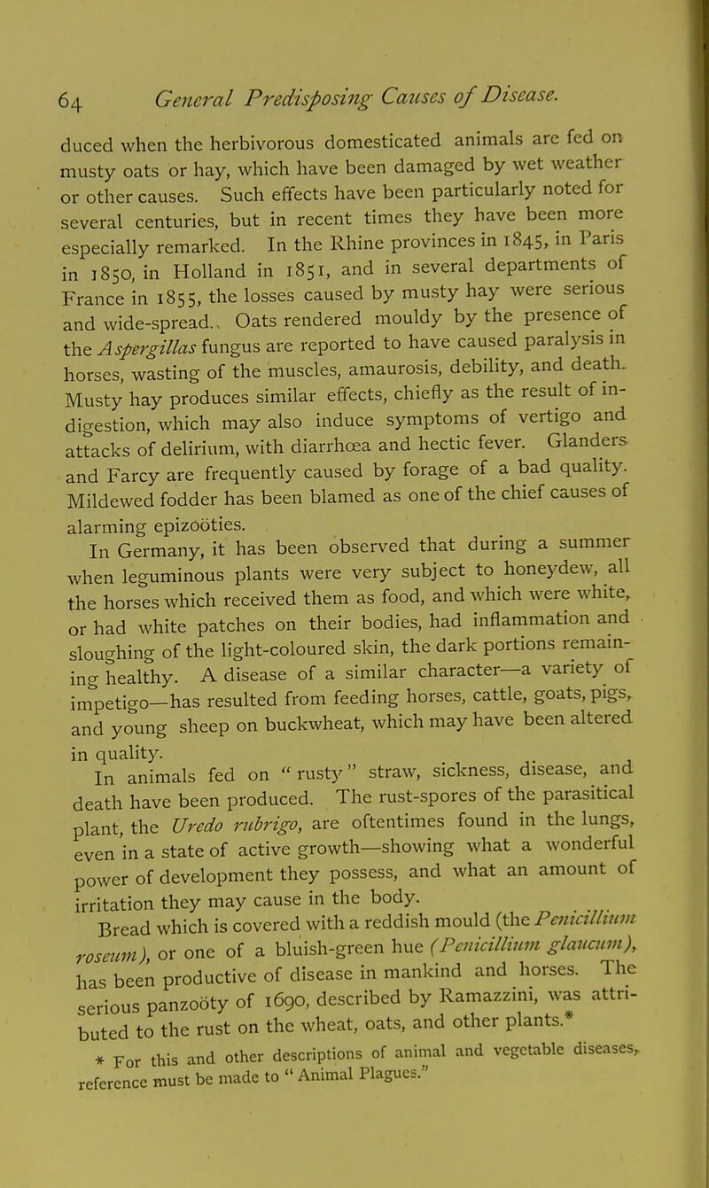 duced when the herbivorous domesticated animals are fed on musty oats or hay, which have been damaged by wet weather or other causes. Such effects have been particularly noted for several centuries, but in recent times they have been more especially remarked. In the Rhine provinces in 1845, in Pans in 1850, in Holland in 1851, and in several departments of France in 1855, the losses caused by musty hay were serious and wide-spread., Oats rendered mouldy by the presence of the Aspergillus fungus are reported to have caused paralysis in horses, wasting of the muscles, amaurosis, debility, and death. Musty hay produces similar effects, chiefly as the result of in- digestion, which may also induce symptoms of vertigo and attacks of delirium, with diarrhoea and hectic fever. Glanders and Farcy are frequently caused by forage of a bad quality. Mildewed fodder has been blamed as one of the chief causes of alarming epizooties. In Germany, it has been observed that during a summer when leguminous plants were very subject to honeydew, all the horses which received them as food, and which were white, or had white patches on their bodies, had inflammation and sloughing of the light-coloured skin, the dark portions remain- ing healthy. A disease of a similar character—a variety of impetigo—has resulted from feeding horses, cattle, goats, pigs, and young sheep on buckwheat, which may have been altered in quality. In animals fed on  rusty straw, sickness, disease, and death have been produced. The rust-spores of the parasitical plant, the Uredo rubrigo, are oftentimes found in the lungs, even in a state of active growth—showing what a wonderful power of development they possess, and what an amount of irritation they may cause in the body. Bread which is covered with a reddish mould (the Penialhum roseum), or one of a bluish-green hue (Penicillium glaucnm), has been productive of disease in mankind and horses. The serious panzooty of 1690, described by Ramazzini, was attri- buted to the rust on the wheat, oats, and other plants* * For this and other descriptions of animal and vegetable diseases, reference must be made to « Animal Plagues.