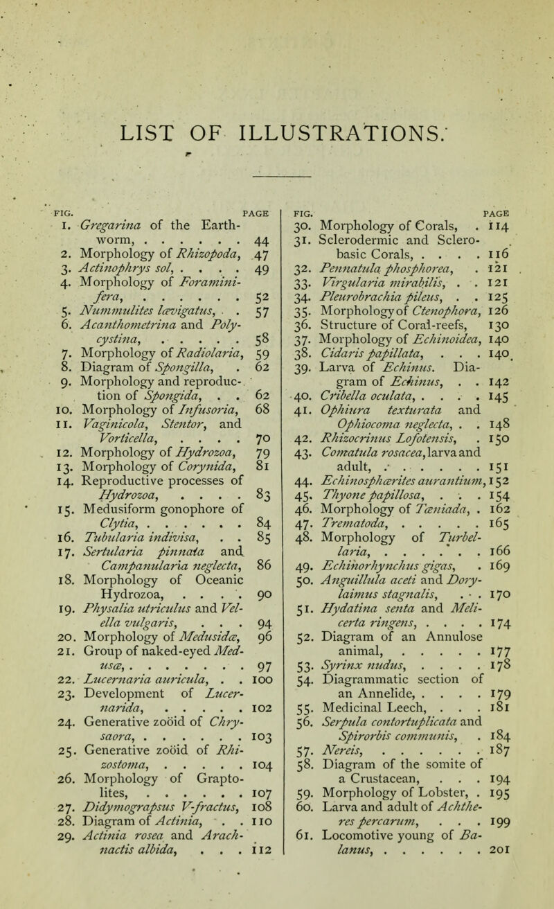 LIST OF ILLUSTRATIONS. FIG. PAGE Gregarina of the Earth- FIG. 3°- Morphology of Corals, PAGE 114 Morphology of Rhizopoda, AA 31- Sclerodermic and Sclero- 2. A 7 4/ basic Corals, .... Il6 3- Actinophrys sol, .... 4y 32- Pennatula phosphorea, 121 4- Morphology of Foramini- 33- Virgularia mirabilis, . . 121 fera, 52 34- Pleurobrachia pileus, . . 125 5- Numniulites Icevigatus, . . 57 35- Morphology of Ctenop/iora, 126 6. Acanthometrina and 36- Structure of Coral-reefs, I30 s8 37- Morphology of Echinoidea, 140 7. Morphology of Radiolaria, CQ jy 3°- Cidaris papillata, . . . I4°. 8. Diagram of Spongilla, 62 39- Larva of Echinus. Dia- 9- JVlorphology and reproduc-. gram of Echinus, . . 142 62 40. Cribella oculata, . ... H5 10. Morphology of Infusoria, 68 41. Ophiura texturata and 11. Vaginicola, Stentor, and Ophiocoma neglecta, . . 148 Vorticella, .... 42. Rhizocrinus Lofotensis, 150 12. Morphology of Hydrozoa, 7Q 43- Comatula rosacea, larva and 13. Morphology of Corynida, 81 adult, ...... 151 14. Reproductive processes of 44. Echmosphcerites aurantium,i§2 Hydrozoa, .... 8^ 45- Thyone papulosa, . -. . 154 15- Medusiform gonophore of 46. Morphology of Tceniada, . 162 04 47- 165 16. Tubularia indivisa, . . 8; 48. Morphology of Turbel- 17. Sertularia pinnaia and Echihorhynchus gigas, 166 Campanularia neglecta, 86 49. 169 18. Morphology of Oceanic 5°- Anguillula aceti and Dory- Hydrozoa, . . . . nr» yu laimus stagnalis, . • . Hydatina senta and Meli- 170 19. Physalia utriculus and Vel- 51- ella vulgaris, . . 94 certa ringens, .... 174 20. Morphology of Medusidtz, 96 52- Diagram of an Annulose 21. Group of naked-eyed Med- 177 97 53- Syrinx nudus, .... 178 22. Lucernaria auricula, . . 100 54- Diagrammatic section of 23- Development of Lucer- an Annelide, .... 179 102 55- Medicinal Leech, . . 181 24. Generative zooid of Chry- 56. Serpula contortuplicata and 184 103 Spirorbis communis, 25. Generative zobid of Rhi- 57- Diagram of the somite of 187 26. Morphology of Grapto- 104 58. a Crustacean, 194 Didymograpsus V-fractus, 107 59- Morphology of Lobster, . 195 27. 108 60. Larva and adult of Achthe- 28. Diagram of Actinia, . . no res percarum, 199 29- Actinia rosea and Arach- 61. Locomotive young of Ba- nactis albida, . . . ii2 201