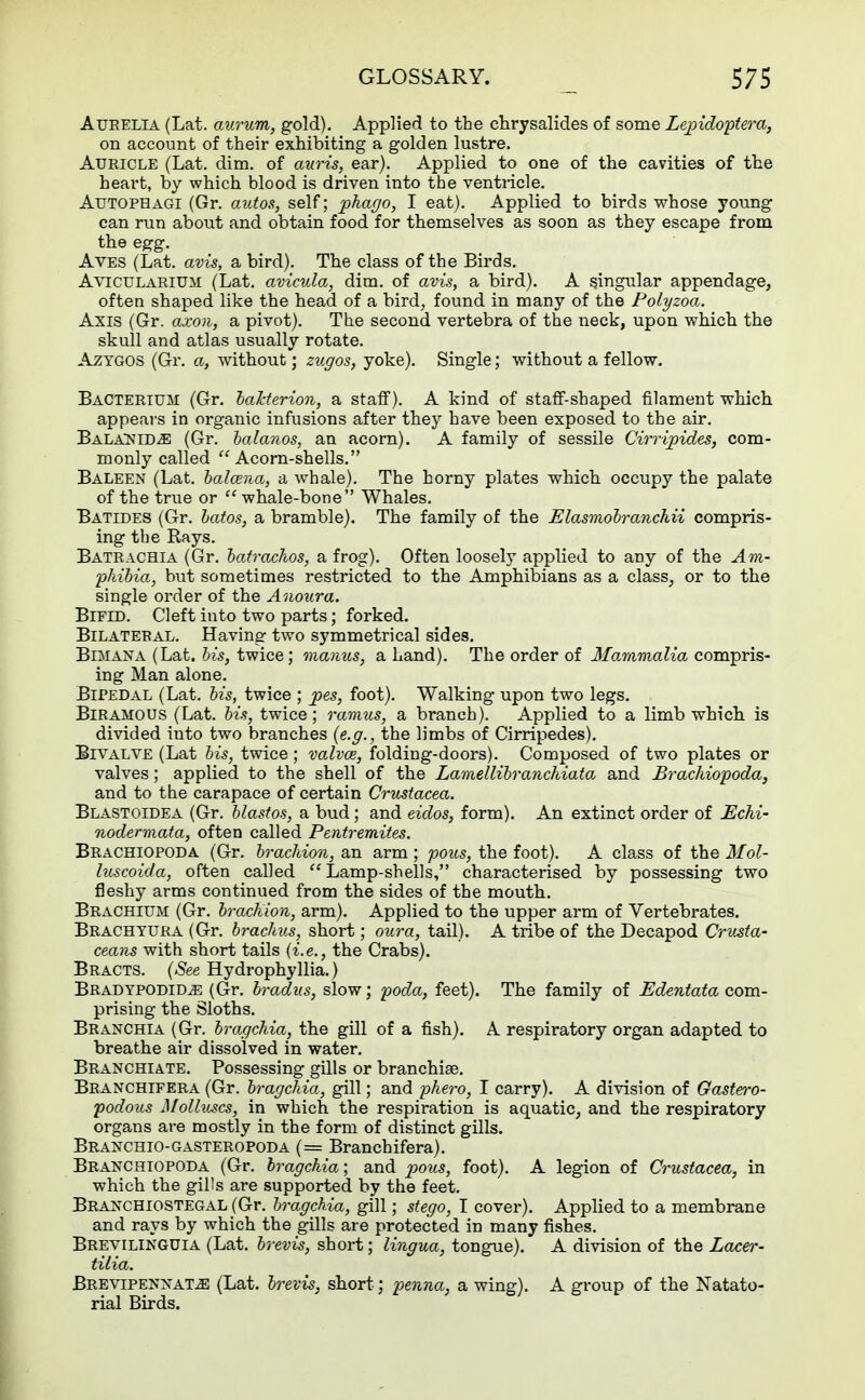 Aueelia (Lat. aurum, gold). Applied to the chrysalides of some Lepidoptera, on account of their exhibiting a golden lustre. Auricle (Lat. dim. of auris, ear). Applied to one of the cavities of the heart, by which blood is driven into the ventricle. Autophagi (Gr. autos, self; phago, I eat). Applied to birds whose young can run about and obtain food for themselves as soon as they escape from the egg. Aves (Lat. avis, a bird). The class of the Birds. Avicularium (Lat. avicula, dim. of avis, a bird). A singular appendage, often shaped like the head of a bird, found in many of the Polyzoa. Axis (Gr. axon, a pivot). The second vertebra of the neck, upon which the skull and atlas usually rotate. Aztgos (Gr. a, without; zugos, yoke). Single; without a fellow. Bacterium (Gr. baMerion, a staff). A kind of staff-shaped filament which appears in organic infusions after they have been exposed to the air. BALANLDiE (Gr. balanos, an acorn). A family of sessile Cirripides, com- monly called  Acorn-shells. Baleen (Lat. balana, a whale). The horny plates which occupy the palate of the true or whale-bone Whales. Batides (Gr. batos, a bramble). The family of the Elasmobranchii compris- ing the Rays. Batrachia (Gr. batrachos, a frog). Often loosely applied to any of the Am- phibia, but sometimes restricted to the Amphibians as a class, or to the single order of the Anoura. Bifid. Cleft into two parts; forked. Bilateral. Having two symmetrical sides. Bimana (Lat. bis, twice; manus, a hand). The order of Mammalia compris- ing Man alone. Bipedal (Lat. bis, twice ; pes, foot). Walking upon two legs. BiRAMOUS (Lat. bis, twice; ramus, a branch). Applied to a limb which is divided into two branches (e.g., the limbs of Cirripedes). Bivalve (Lat bis, twice; valvar, folding-doors). Composed of two plates or valves ; applied to the shell of the Lamellibranchiata and JBrachiopoda, and to the carapace of certain Crustacea. Blastoidea (Gr. blastos, a bud; and eidos, form). An extinct order of JEchi- nodermata, often called Pentremites. Brachiopoda (Gr. bracliion, an arm ; pons, the foot). A class of the Mol- luscoida, often called Lamp-shells, characterised by possessing two fleshy arms continued from the sides of the mouth. Brachium (Gr. bracKion, arm). Applied to the upper arm of Vertebrates. Brachtura (Gr. brachus, short; oura, tail). A tribe of the Decapod Crusta- ceans with short tails (i.e., the Crabs). Bracts. (See Hydrophyllia.) Bradypodid^e (Gr. bradus, slow; poda, feet). The family of Edentata com- prising the Sloths. Branchia (Gr. bragchia, the gill of a fish). A respiratory organ adapted to breathe air dissolved in water. Branchiate. Possessing gills or branchiae. Branchifera (Gr. bragchia, gill; and phero, I carry). A division of Gastero- podous Molluscs, in which the respiration is aquatic, and the respiratory organs are mostly in the form of distinct gills. Branchio-gasteropoda (= Branchifera). Branchiopoda (Gr. bragchia; and pous, foot). A legion of Crustacea, in which the gills are supported by the feet. Branchiostegal (Gr. bragchia, gill; stego, I cover). Applied to a membrane and rays by which the gills are protected in many fishes. Brevilinguia (Lat. brevis, short; lingua, tongue). A division of the Laeer- tilia. Brevipennat^e (Lat. brevis, short; penna, a wing). A group of the Natato- rial Birds.