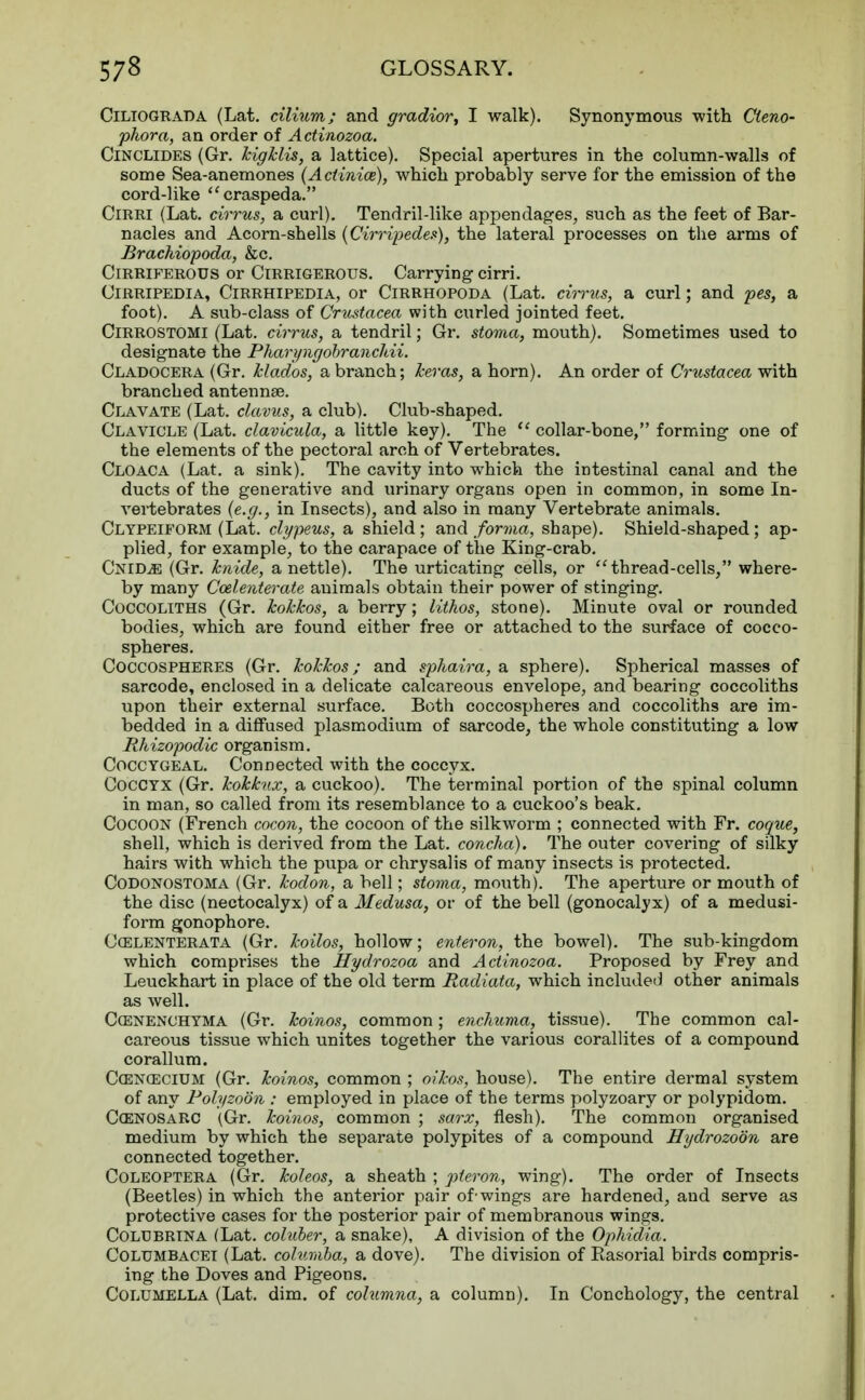Ciliograda (Lat. cilium; and gradior, I walk). Synonymous with Cteno- phora, an order of Actinozoa. Cinclides (Gr. kigklis, a lattice). Special apertures in the column-walls of some Sea-anemones (Actinice), which probably serve for the emission of the cord-like craspeda. Cirri (Lat. cirrus, a curl). Tendril-like appendages, such as the feet of Bar- nacles and Acorn-shells (Cirripedes), the lateral processes on the arms of Brachiopoda, &c. Cirriferous or Cirrigerous. Carrying cirri. Cirripedia, Cirrhipedia, or Cirrhopoda (Lat. cirrus, a curl; and pes, a foot). A sub-class of Crustacea with curled jointed feet. Cirrostomi (Lat. cirrus, a tendril; Gr. stoma, mouth). Sometimes used to designate the Pharyngobranchii. Cladocera (Gr. klados, a branch; Jceras, a horn). An order of Crustacea with branched antennae. Clavate (Lat. clavus, a club). Club-shaped. Clavicle (Lat. clavicula, a little key). The  collar-bone, forming one of the elements of the pectoral arch of Vertebrates. Cloaca (Lat. a sink). The cavity into which the intestinal canal and the ducts of the generative and urinary organs open in common, in some In- vertebrates (e.g., in Insects), and also in many Vertebrate animals. Clypeiform (Lat. clypeus, a shield; and forma, shape). Shield-shaped; ap- plied, for example, to the carapace of the King-crab. CniDjE (Gr. knide, a nettle). The urticating cells, or thread-cells, where- by many Ccelenterate animals obtain their power of stinging. Coccoliths (Gr. kokkos, a berry; lithos, stone). Minute oval or rounded bodies, which are found either free or attached to the surface of cocco- spheres. Coccospheres (Gr. kokkos ; and sphaira, a sphere). Spherical masses of sarcode, enclosed in a delicate calcareous envelope, and bearing coccoliths upon their external surface. Both coccospheres and coccoliths are im- bedded in a diffused plasmodium of sarcode, the whole constituting a low Rhizopodic organism. Coccygeal. Connected with the coccyx. Coccyx (Gr. Icokhix, a cuckoo). The terminal portion of the spinal column in man, so called from its resemblance to a cuckoo's beak. Cocoon (French cocon, the cocoon of the silkworm ; connected with Fr. coque, shell, which is derived from the Lat. concha). The outer covering of silky hairs with which the pupa or chrysalis of many insects is protected. Codonostoma (Gr. kodon, a bell; stoma, mouth). The aperture or mouth of the disc (nectocalyx) of a Medusa, or of the bell (gonocalyx) of a medusi- form gonophore. Coelenterata (Gr. koilos, hollow; enteron, the bowel). The sub-kingdom which comprises the Hydrozoa and Actinozoa. Proposed by Frey and Leuckhart in place of the old term Radiata, which included other animals as well. Ccenenchyma (Gr. koinos, common; enchuma, tissue). The common cal- careous tissue which unites together the various corallites of a compound corallum. Cojncecium (Gr. koinos, common ; oikos, house). The entire dermal system of any Polyzoon : employed in place of the terms polyzoary or polypidom. CcenosarC (Gr. koinos, common ; sarx, flesh). The common organised medium by which the separate polypites of a compound Hydrozoon are connected together. Coleoptera (Gr. koleos, a sheath ; pleron, wing). The order of Insects (Beetles) in which the anterior pair of-wings are hardened, and serve as protective cases for the posterior pair of membranous wings. Colubrina (Lat. coluber, a snake), A division of the Ophidia. Columbacei (Lat. cohimba, a dove). The division of Rasorial birds compris- ing the Doves and Pigeons. Columella (Lat. dim. of columna, a column). In Conchology, the central