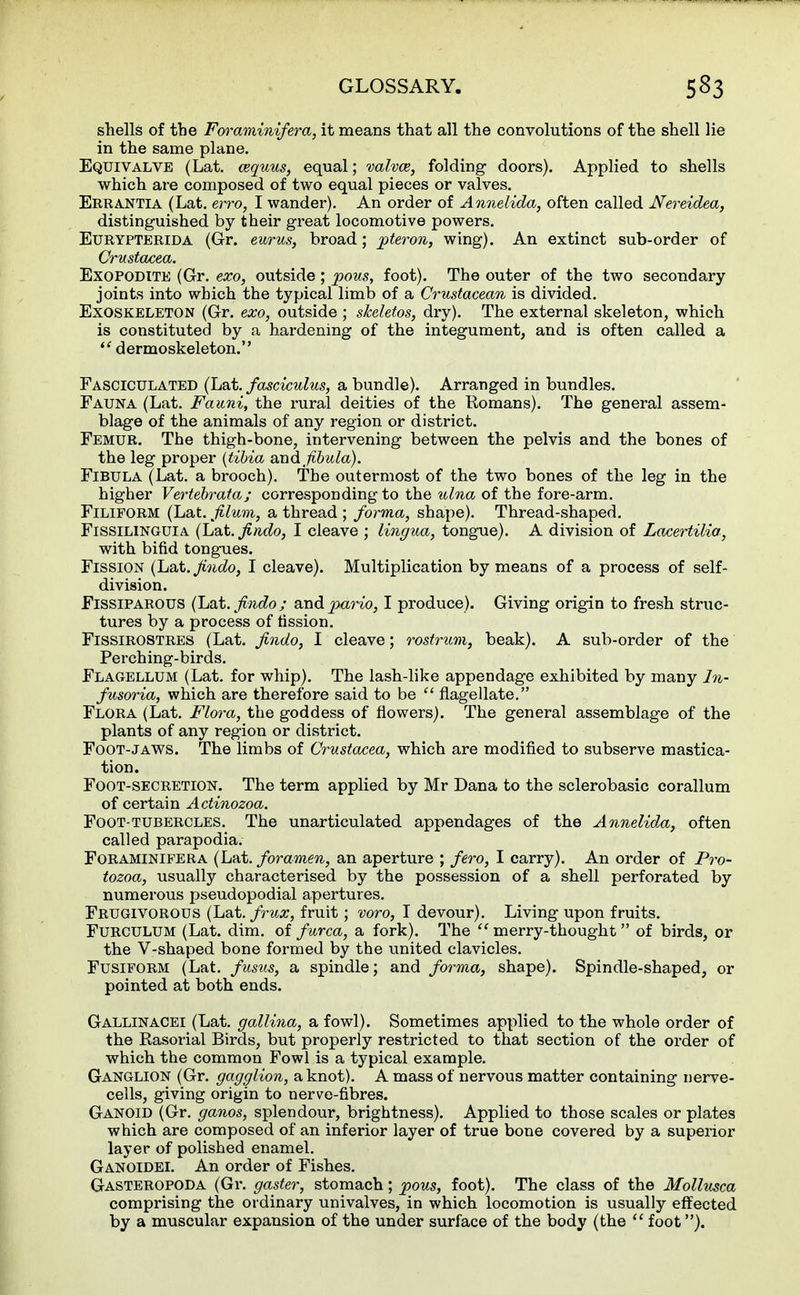 shells of the Foraminifera, it means that all the convolutions of the shell lie in the same plane. Equivalve (Lat. cequus, equal; valvce, folding doors). Applied to shells which are composed of two equal pieces or valves. Errantia (Lat. erro, I wander). An order of Annelida, often called Nereidea, distinguished by their great locomotive powers. Eurypterida (Gr. eurus, broad; pteron, wing). An extinct sub-order of Crustacea. Exopodite (Gr. exo, outside ; pons, foot). The outer of the two secondary- joints into which the typical limb of a Crustacean is divided. Exoskeleton (Gr. exo, outside ; skeletos, dry). The external skeleton, which is constituted by a hardening of the integument, and is often called a dermoskeleton. Fasciculated (Lat. fasciculus, a bundle). Arranged in bundles. Fauna (Lat. Fauni, the rural deities of the Romans). The general assem- blage of the animals of any region or district. Femur. The thigh-bone, intervening between the pelvis and the bones of the leg proper {tibia and fibula). Fibula (Lat. a brooch). The outermost of the two bones of the leg in the higher Vertebrata; corresponding to the ulna of the fore-arm. Filiform (Lat. filum, a thread ; forma, shape). Thread-shaped. Fissilinguia (Lat. findo, I cleave ; lingua, tongue). A division of Lacertilia, with bifid tongues. Fission (L&t. findo, I cleave). Multiplication by means of a process of self- division. Fissiparous (Lat. findo; ecndpario, I produce). Giving origin to fresh struc- tures by a process of fission. Fissirostres (Lat. findo, I cleave; rostrum, beak). A sub-order of the Perching-birds. Flagellum (Lat. for whip). The lash-like appendage exhibited by many In- fusoria, which are therefore said to be flagellate. Flora (Lat. Flora, the goddess of flowers). The general assemblage of the plants of any region or district. Foot-jaws. The limbs of Crustacea, which are modified to subserve mastica- tion. Foot-secretion. The term applied by Mr Dana to the sclerobasic corallum of certain Actinozoa. Foot-tubercles. The unarticulated appendages of the Annelida, often called parapodia. Foraminifera (Lat. foramen, an aperture ; fero, I carry). An order of Pro- tozoa, usually characterised by the possession of a shell perforated by numerous pseudopodial apertures. Frugivorous (Lat. frux, fruit; voro, I devour). Living upon fruits. Furculum (Lat. dim. of furca, a fork). The merry-thought of birds, or the V-shaped bone formed by the united clavicles. Fusiform (Lat. fusus, a spindle; and forma, shape). Spindle-shaped, or pointed at both ends. Gallinacei (Lat. gallina, a fowl). Sometimes applied to the whole order of the Rasorial Birds, but properly restricted to that section of the order of which the common Fowl is a typical example. Ganglion (Gr. gagglion, a knot). A mass of nervous matter containing nerve- cells, giving origin to nerve-fibres. Ganoid (Gr. ganos, splendour, brightness). Applied to those scales or plates which are composed of an inferior layer of true bone covered by a superior layer of polished enamel. Ganoidei. An order of Fishes. Gasteropoda (Gr. gaster, stomach; pous, foot). The class of the Mollusca comprising the ordinary univalves, in which locomotion is usually effected by a muscular expansion of the under surface of the body (the foot).