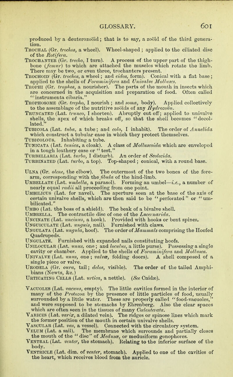 produced by a deuterozooid; that is to say, a zooid of the third genera- tion. Tkochal (Gr. trochos, a wheel). Wheel-shaped ; applied to the ciliated disc of the Rotifera. Tkochanter (Gr. trecho, I turn). A process of the upper part of the thigh- bone (femur) to which are attached the muscles which rotate the limb. There may be two, or even three, trochanters present. Trochoid' (Gr. trochos, a wheel; and eidos, form). Conical with a flat base; applied to the shells of Foraminifera and Univalve Molluscs. Trophi (Gr. Irophos, a nourisher). The parts of the mouth in insects which are concerned in the acquisition and preparation of food. Often called  instrumenta cibaria. Trophosome (Gr. trepho, I nourish ; and soma, body). Applied collectively to the assemblage of the nutritive zooids of any Hydrozoon. Truncated (Lat. trunco, I shorten). Abruptly cut off; applied to univalve shells, the apex of which breaks off, so that the shell becomes  decol- lated. Tubicola (Lat. tuba, a tube; and colo, I inhabit). The order of Annelida which construct a tubular case in which they protect themselves. Tubicolous. Inhabiting a tube. Tunicata (Lat. tunica, a cloak). A class of Molluscoida which are enveloped in a tough leathery case or  test. Turbellaria (Lat. turbo, I disturb). An order of Scolecida. Turbinated (Lat. turbo, a top). Top-shaped; conical, with a round base. Ulna (Gr. olene, the elbow). The outermost of the two bones of the fore- arm, corresponding with the fibula of the hind-limb. Umbellate (Lat. umbella, a parasol). Forming an umbel—i.e., a number of nearly equal radii all proceeding from one point. Umbilicus (Lat. for navel). The aperture seen at the base of the axis of certain univalve shells, which are then said to be  perforated  or um- bilicated. Umbo (Lat. the boss of a shield). The beak of a bivalve shell. Umbrella. The contractile disc of one of the Lucernarida. Uncinate (Lat. uncinus, a hook). Provided with hooks or bent spines. Unguiculate (Lat. unguis, nail). Furnished with claws. Ungulata (Lat. ungula, hoof). The order of Mammals comprising the Hoofed Quadrupeds. Ungulate. Furnished with expanded nails constituting hoofs. Unilocular (Lat. unus, one ; and loculus, a little purse). Possessing a single cavity or chamber. Applied to the shells of Foraminifera and Mollusca. Univalve (Lat. unus, one ; valvce, folding doors). A shell composed of a single piece or valve. Urodela (Gr. oura, tail; delos, visible). The order of the tailed Amphi- bians (Newts, &c.) Urticating Cells (Lat. urtica, a nettle). (See Cnidse). Vacuoles (Lat. vacuus, empty). The little cavities formed in the interior of many of the Protozoa by the presence of little particles of food, usually surrounded by a little water. These are properly called food-vacuoles, and were supposed to be stomachs by Ehrenberg. Also the clear spaces which are often seen in the tissues of many Ccelenterata. Varices (Lat. varix, a dilated vein). The ridges or spinose lines which mark the former position of the mouth in certain univalve shells. Vascular (Lat. vas, a vessel). Connected with the circulatory system. Velum (Lat. a sail). The membrane which surrounds and partially closes the mouth of the  disc of Medusa?, or medusiform gonophores. Ventral (Lat. venter, the stomach). .Relating to the inferior surface of the body. Ventricle (Lat. dim. of venter, stomach). Applied to one of the cavities of the heart, which receives blood from the auricle.