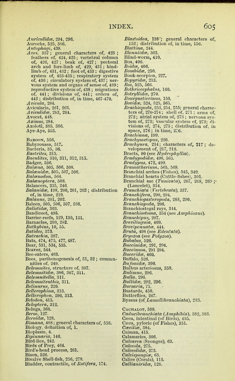 Auriculidce, 294, 296. Aurochs, 525, 5t>6. Autophagi, 439. Aves, 337; general characters of, 423 ; feathers of, 424,425; vertebral column of, 426, 427; beak of, 427; pectoral arch and fore-limb of, 429, 431; hind- limb of, 431, 432 ; foot of, 433 ; digestive system of, 433-435; respiratory system of, 436 ; circulatory system of, 437; ner- vous system and organs of sense of, 439; reproductive system of, 438 ; migrations of, 441; divisions of, 441; orders of, 442 ; distribution of, in time, 467-470. Avicula, 284. Avicularia, 261, 263. Aviculidce, 283, 284. Avocet, 448. Axinus, 284. Axolotl, 385, 386. Aye-Aye, 553. Baboon, 556. Babyroussa, 517. Bacteria, 35, 36. Bactrites, 315. Baculites, 310, 311, 312, 315. Badger, 536. Balcena, 505, 506, 508. Balcenidce, 505, 507, 508. Balcenodon, 564. Balcenoptera, 508. Balancers, 235, 246. Balanidce, 198, 200,201, 203 ; distribution of, in time, 219. Balanus, 201, 202. Baleen, 505, 506, 507, 508. Balistidce, 363. Bandicoot, 495. Barrier-reefs, 129,130, 131. Barnacles, 200, 202. Bathybius, 10, 55. Batides, 373. Batrachia, 387. Bats, 474, 475, 477, 487. Bear, 531, 534, 535. • Beaver, 544. Bee-eaters, 463. Bees, parthenogenesis of, 31, 32 ; commu- nities of, 249. Belemnites, structure of, 307. Belemnitidce, 306, 307, 311. Belemnitella, 311. Belemniteuthis, 311. Belinurus, 220. Bellerophina, 313. Bellerophon. 296, 313. Belodon, 415. Beloptera, 312. Beluga, 368. Beroe, 127. Beroidce, 128. Bimana, 488; general characters of, 558. Biology, definition of, 1. Bioplasm, 4. Bipinnaria, 146. Bird-lice, 242. Birds of Prey, 464. Bird's-head process, 261. Bison, 526. Bivalve Shell-fish, 256, 27S. Bladder, contractile, of Rotifera, 174. Blastoidea, 138r; general characters of, 152; distribution of, in time, 156. Blattina, 244. Blenniidoe, 363. Blind-worm, 410. Boa, 406. Boidce, 406. Bombidce, 250. Book-scorpion, 227. Bopyridce, 213. Bos, 525, 566. Bothriocephalus, 160. Botryllidce, 270. Bourgueticrinus, 150. Bovidce, 524, 525, 565. Brachiopoda, 253,254, 255; general charac- ters of, 270-274; shell of, 271 ; arms of, 272; atrial system of, 273 ; nervous sys- tem of, 273; vascular system of, 273; di- visions of, 274, 275; distribution of, iu space, 276 ; in time, 276. Brachiuna, 199. Brachymetopus, 220. Brachyura, 214; characters of, 217; de- velopment of, 217, 218. Bracts, 90 (see Hydrophyllia). Bradypodidce, 498, 563. Brady pus, 472, 499. Bramatherium, 565, 569. Branchial arches (Fishes), 345, 349. Branchial hearts (Cuttle-fishes), 301. Branchial sac (Tunicata), 267, 268, 269 ;• (Lancelet), 354. Branchiata (Vertebrata), 337. Branchifera, 290, 294. Branchiogasteropoda, 288, 290. Branchiopoda, 206. Branchiostegal rays, 344. Branchiostoma, 354 (see Amphioxus). Branchipus, 207. Brevilinguia, 409. Brevipennatoe, 444. Bruta, 49S (see Edentata). Bryozoa (see Polyzoa). Bubalus, 526. Buccinidoe, 291, 294. Buccinum, 291 294. Buceridce, 460. Buffalo, 526. Bufonidce, 390. Bulbus arteriosus, 350. Bulimus, 296. Bulla. 296. Bullidce. 292, 296. Bursaria, 71. Bustards, 450. Butterflies, 247. Byssus (of Lamellibranchiata), 2S3. Cachalot, 509. Caducibranchiata (Amphibia), 382, 383. Caeca, intestinal (of Birds), 435. Caeca, pyloric (of Fishes), 351. Ccecilice, 384. Caiman, 415. Calamaries, 306. Calcarea (Sponges), 63. Calceola, 275. Calceolidce, 275. Calcispongice, 63. Calice (Corals), 115. Callianiridce, 128.