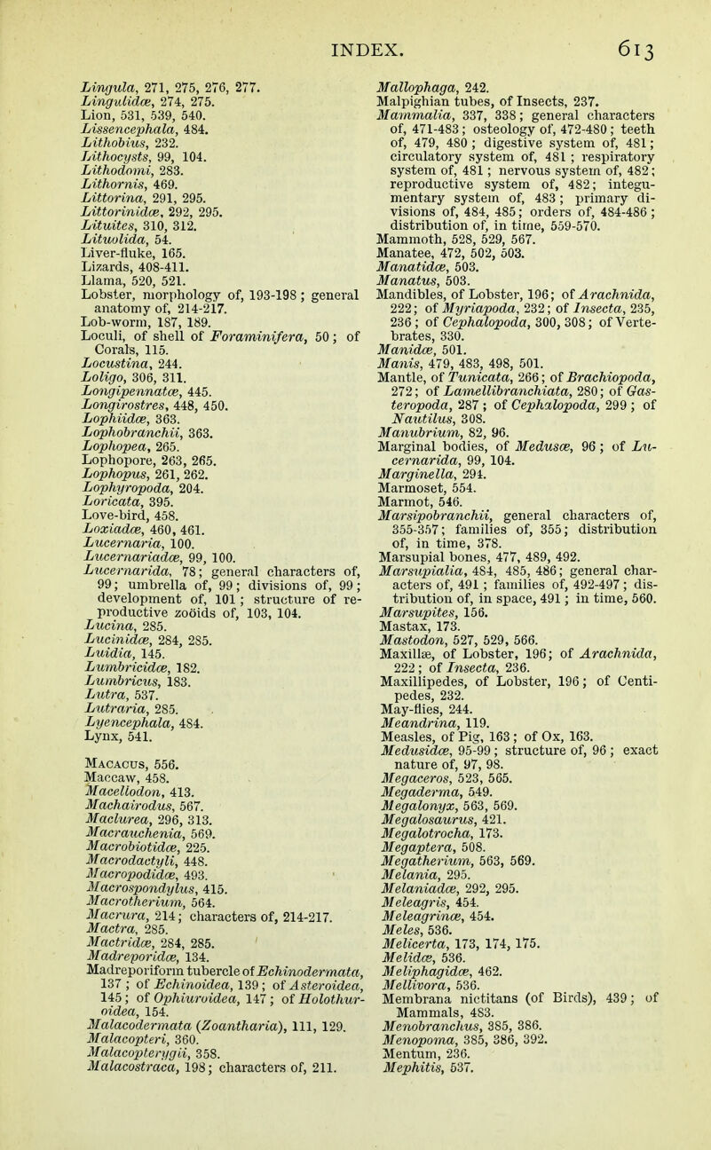 Lmgula, 271, 275, 276, 277. Lingulidce, 274, 275. Lion, 531, 539, 540. Lissencephala, 484. Lithobius, 232. Lithocysts, 99, 104. Lithodomi, 283. Lithornis, 469. Littorina, 291, 295. Littorinidoe, 292, 295. Lituites, 310, 312. Lituolida, 54. Liver-fluke, 165. Lizards, 408-411. Llama, 520, 521. Lobster, morphology of, 193-198 ; general anatomy of, 214-2i7. Lob-worm, 187, 189. Loculi, of shell of Foraminifera, 50; of Corals, 115. Locustina, 244. Loligo, 306, 311. Lo7igipennatce, 445. Longirostres, 448, 450. Lophiidce, 363. Lophobranchii, 363. Lophopea, 265. Lophopore, 263, 265. Lophopus, 261, 262. Lophyropoda, 204. Loricata, 395. Love-bird, 458. Loxiadce, 460, 461. Lucernaria, 100. Lucernariadce, 99, 100. Lucernarida, 78; general characters of, 99; umbrella of, 99; divisions of, 99; development of, 101 ; structure of re- productive zooids of, 103, 104. Lucina, 285. Lucinidce, 284, 2S5. Luidia, 145. Lumbricidce, 182. Lumbricus, 183. Lutra, 537. Lutraria, 285. Lyencephala, 484. Lynx, 541. Macacus, 556. Maccaw, 458. Macellodon, 413. Machairodus, 567. Maclurea, 296, 313. Macrauchenia, 569. Macrobiotidce, 225. Macrodactyli, 448. Macropodidce, 493. Macrospondylus, 415. Macrotherium, 564. Macrura, 214; characters of, 214-217. Mactra, 285. Mactridoe, 284, 285. Madreporidoe, 134. Madreporiform tubercle of Echinodermata, 137; of Echinoidea, 139; of Asteroidea, 145 ; of Ophiuroidea, 147 ; of Holothur- oidea, 154. Malacodermata (Zoantharia), 111, 129. Malacopteri, 360. Malacopterygii, 358. Malacostrdca, 198; characters of, 211. Mallophaga, 242. Malpighian tubes, of Insects, 237. Mammalia, 337, 338; general characters of, 471-483; osteology of, 472-480; teeth of, 479, 480 ; digestive system of, 481; circulatory system of, 481 ; respiratory system of, 481; nervous system of, 482; reproductive system of, 482; integu- mentary system of, 483; primary di- visions of, 484, 485; orders of, 484-486 ; distribution of, in time, 559-570. Mammoth, 528, 529, 567. Manatee, 472, 502, 503. Manatidce, 503. Manatus, 503. Mandibles, of Lobster, 196; of Arachnida, 222; of Myriapoda, 232; of Insecta, 235, 236 ; of Cephalopoda, 300, 308; of Verte- brates, 330. Manidaz, 501. Manis, 479, 483; 498, 501. Mantle, of Tunicata, 266; of Brachiopoda, 272; of Lamellibranchiata, 280; of Gas- teropoda, 287 ; of Cephalopoda, 299 ; of Nautilus, 308. Manubrium, 82, 96. Marginal bodies, of Medusa;, 96; of eernarida, 99, 104. Marginella, 294. Marmoset, 554. Marmot, 546. Marsipobranchii, general characters of, 355-357; families of, 355; distribution of, in time, 378. Marsupial bones, 477, 489, 492. Marsupialia, 484, 485, 486; general char- acters of, 491 ; families of, 492-497; dis- tribution of, in space, 491; in time, 560. Marsupites, 156. Mastax, 173. Mastodon, 527, 529, 566. Maxillse, of Lobster, 196; of Arachnida, 222; of Insecta, 236. Maxillipedes, of Lobster, 196; of Centi- pedes, 232. May-flies, 244. Meandrina, 119. Measles, of Pig, 163 ; of Ox, 163. Medusidce, 95-99 ; structure of, 96 ; exact nature of, 97, 98. Megaceros, 523, 565. Megaderma, 549. Megalonyx, 563, 569. Megalosaurus, 421. Megalotrocha, 173. Megaptera, 508. Megatherium, 563, 569. Melania, 295. Melaniadoe, 292, 295. Meleagris, 454. Meleagrinai, 454. Meles, 536. Melicerta, 173, 174, 175. Melidce, 536. Meliphagidce, 462. Mellivora, 536. Membrana nictitans (of Birds), 439; of Mammals, 483. Menobranchus, 385, 386. Menopoma, 385, 386, 392. Mentum, 236. Mephitis, 537.