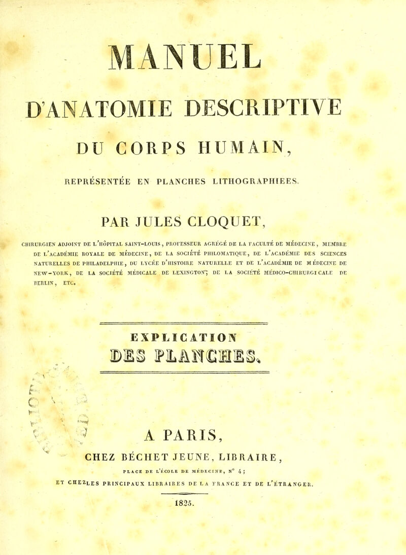 DANATOMIE DESCRIPTIVE DU CORPS HUMAIN, REPRESENTEE EN PLANCHES LITHOGRAPHIEES. PAR JULES CLOQUET, CHIRURGIEN ADJOINT DE l'hÔPITAL SAINT-LOUIS , PROFESSEUR AGRÉGÉ DE LA FACULTÉ DE MEDECINE , MEMBRE DE l'académie royale DE MEDECINE, DE LA SOCIÉTÉ PHILOMATIQUE, DE l'aCADÉMIE DES SCIENCES NATURELLES DE PHILADELPHIE, DU LYCÉE d'hISTOIRE NATURELLE ET DE l'aCADÉMIE DE MÉDECINE DE NEW-YORK, DE LA SOCIÉTÉ MÉDICALE DE LEXINGTON; DE LA SOCIÉTÉ MÉDICO-CHIRTJRGI CALE DE BERLIN, ETC. EXPLICATION DIS F]LAW(eiEîli A PARIS, CHEZ BECHET JEUNE, LIBRAIRE, PLACE DE l'école DE MEDECINE, N° 4; ET CHEZleS PRINCIPAUX LIBRAIRES DE LA FRANCE ET DE l'ÉTRANGEH, 1825.