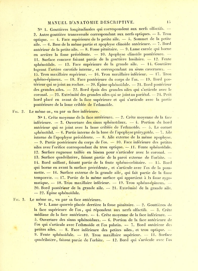 No 1. Gouttières longitudinales qui correspondent aux nerfs olfacLils. — 2. Autre gouttière transversale correspondant aux nerfs optiques. — 3. Trou optique. — 4. Face supérieure de la petite aile. — Sommet de la petite aile. — 6. Base de la même partie et apophyse clinoïde antérieure. — 7. Bord antérieur de la petite aile. — 8. Fosse pituitaire. — 9. Lame carrée qui borne en arrière la fosse précédente. — 10. Apophyse clinoïde postérieure. — 11. Surface concave faisant partie de la gouttière basilaire. — 12. Fente sphénoïdale, — 13. Face supérieure de la grande aile. — 14. Gouttière logeant l'artère carotide interne, et correspondant au sinus caverneux. — 15. Trou maxillaire supérieur. — 16. Trou maxillaire inférieur. — 17. Trou sphéno-épineux. — 18. Face postérieure du corps de l'os. — 19. Bord pos- térieur qui se joint au rocher. ■— 20. Epine sphénoïdale. — 21. Bord postérieur des grandes ailes. — 22. Bord épais des grandes ailes c[ui s'articule avec le coronal. — 23. Extrémité des grandes ailes qui se jointau pariétal. — 24. Petit bord placé en avant de la face supérieure et qui s'articide avec la partie postérieure de la lame criblée de l'ethmoïde. FiG. 2. Le même os, vu par sa face inférieure. N° 1. Crête moyenne de la face antérieure. ■— 2. Crête moyenne de la face inférieure. — 3. Ouverture des sinus sphénoïdaux. — 4. Portion du bord antérieur qui se joint avec la lame criblée de l'ethmoïde. — 5. Le cornet sphénoïdal. — 6. Partie interne de la base de l'apophyseptérygoïde. — 7. Aile interne de l'apophyse précédente. — 8. Aile externe de la même apophyse. — 9. Partie postérieure du corps de l'os. — 10. Face inférieure des petites ailes avec l'orifice correspondant du trou optique. — 11. Fente sphénoïdale. 12. Surface rugueuse taillée en biseau pour s'articuler avec le coronal. — 13. Surface quadrilatère, faisant partie de la paroi externe de l'orbite. — 14. Bord saillant, faisant partie de la fente sphéno-orbitaire. — 15. Bord qui borne en avant la surface précédente, et s'articule avec l'os de la pom- mette. — IG. Surface externe de la grande aile, qui fait partie de la fosse temporale. — 17. Partie de la même surface qui appartient à la fosse zygo- matique. — 18. Trou maxillaire inférieur. — 19. Trou sphéno-épineux. — 20. Bord postérieur de la grande aile. — 21. Extrémité de la grande aile. — 22. Epine sphénoïdale. FiG, 3. Le même os, vu par sa face antérieure. No 1. Lame quarrée placée derrière la fosse pituitaire. — 2. Gouttières de la face supérieure de l'os , qui répondent aux nerfs olfactifs. — 3. Crête médiane de la face antérieure. — 4. Crête moyenne de la face inférieure. — 5. Ouverture des sinus sphénoïdaux. — 6. Portion de la face antérieure de l'os qui s'articule avec l'ethmoïde et l'os palatin. — 7. Bord antérieur de.; petites ailes. — 8. Face inférieure des petites ailes , et trou optique. — 9. Fente sphénoïdale. — 10. Trou maxillaire supérieur. — 11. Surface quadrilatère, faisant partie de l'orbite. — 12. Bord qui s'articule avec l'os