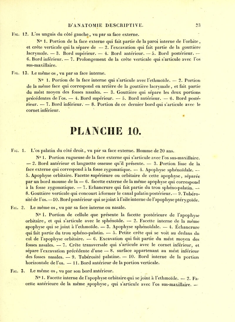 Frc. 12. L'os unguis du côté gauche , vu par sa face externe. N° 1. Portion de la face externe qui fait partie de la paroi interne de l'orbite , et crête verticale qui la sépare de — 2. l'excavation qui fait partie de la gouttière lacrymale. —3. Bord supérieur. — 4. Bord antérieur. —^5. Bord postérieur. — 6. Bord inférieur. — 7. Prolongement de la crête verticale qui s'articule avec l'os sus-maxillaire. FiG. 13. Le même os , vu par sa face interne. N° 1. Portion de la face interne qui s'articule avecl'ethmoïde. — 2. Portion de la même face qui correspond en arrière de la gouttière lacrymale, et fait partie du méat moyen des fosses nasales. — 3. Gouttière qui sépare les deux portions précédentes de l'os. — 4. Bord supérieur. -— 5. Bord antérieur. — 6. Bord posté- rieur. — 7. Bord inférieur. — 8. Portion de ce dernier bord qui s'articule avec le cornet inférieur. Fie. 1. L'os palatin du côté droit, vu par sa face externe. Homme de20 ans. N° 1. Portion rugueuse de la face externe qui s'articule avec l'os sus-maxillaire. ^ — 2. Bord antérieur et languette osseuse qu'il présente. — 3. Portion lisse de la face externe qui correspond à la fosse zygomatique. — 4. Apophyse sphénoïdale. — 5. Apophyse orbitaire. Facette supérieure ou orbilaire de cette apophyse, séparée par un bord mousse de la — 6. facette externe de la même apophyse qui correspond à la fosse zygomatique. — 7. Echancrure qui fait partie du trou sphéno-palalin. —^ 8. Gouttière verticale qui concourt à former le canal palatin postérieur.— 9. Tubéro- sitéde l'os. —10. Bord postérieur qui se joint à l'aile interne de l'apophyse ptérygoïde. FiG. 2. Le même os , vu par sa face interne ou nasale. 1. Portion de cellule que présente la facette postérieure de l'apophyse orbitaire, et qui s'articule avec le sphénoïde. — 2. Facette interne de la même apophyse qui se joint à l'ethmoïde. — 3. Apophyse sphénoïdale. — 4. Echancrure qui fait partie du trou sphéno-palatin. — 5. Petite crête qui se voit au dedans du col de l'apophyse orbitaire. — 6. Excavation qui fait partie du méat moyen des fosses nasales. — 7. Crête transversale qui s'articule avec le cornet inférieur, et sépare l'excavation précédente d'une — 8. surface appartenant au méat inférieur des fosses nasales. — 9. Tubérosité palatine. — 10. Bord interne de la portion horizontale de l'os. — 11. Bord antérieur de la portion verticale. FiG. 3. Le même os , vu par son bord antérieur. N° 1. Facette interne de l'apophyse orbitaire qui se joint à l'ethmoïde. — 2. Fa- cette antérieure de la même apophyse, qui s'articule avec l'os sus-maxillaire.