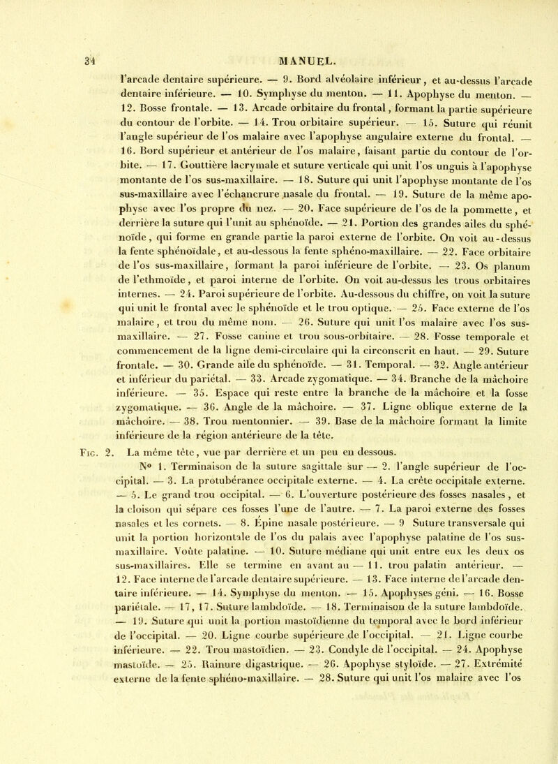 l'arcade dentaire supérieure. — 9. Bord alvéolaire inférieur, et au-dessus l'arcade dentaire inférieure. — 10. Symphyse du menton. — 11. Apophyse du menton. 12. Bosse frontale. — 13. Arcade orbitaire du frontal, formant la partie supérieure du contour de l'orbite. — 14. Trou orbitaire supérieur. — 15. Suture qui réunit l'angle supérieur de l'os malaire avec l'apophyse angulaire externe du frontal. 16. Bord supérieur et antérieur de l'os maiaire, faisant partie du contour de l'or- bite. — 17. Gouttière lacrymale et suture verticale qui unit l'os unguis à l'apophyse montante de l'os sus-maxillaire. — 18. Suture qui unit l'apophyse montante de l'os sus-maxillaire avec l'échancrure nasale du frontal. — 19. Suture de la même apo- physe avec l'os propre du nez. — 20. Face supérieure de l'os de la pommette, et derrière la suture qui l'unit au sphénoïde. — 21. Portion des grandes ailes du sphé- noïde , qui forme en grande partie la paroi externe de l'orbite. On voit au-dessus la fente sphénoïdale, et au-dessous la fente sphéno-maxillaire. — 22. Face orbitaire de l'os sus-maxillaire, formant la paroi inférieure de l'orbite. —■ 23. Os planum de l'ethmoide, et paroi interne de l'orbite. On voit au-dessus les trous orbitaires internes. — 24. Paroi supérieure de l'orbite. Au-dessous du chiffre, on voit la suture qui unit le frontal avec le sphénoïde et le trou optique. — 25. Face externe de l'os malaire, et trou du même nom. — 26. Suture qui unit l'os malaire avec l'os sus- maxillaire. — 27. Fosse canine et trou sous-orbitaire. — 28. Fosse temporale et commencement de la ligne demi-circulaire qui la circonscrit en haut. — 29. Suture frontale. — 30. Grande aile du sphénoïde. — 31. Temporal. — 32. Angle antérieur et inférieur du pariétal. — 33. Arcade zygomatique. — 34. Branche de la mâchoire inférieure. — 35. Espace qui reste entre la branche de la mâchoire et la fosse zygomatique. — 36. Angle de la mâchoire. — 37. Ligne oblique externe de la mâchoire. — 38. Trou mentonnier. — 39. Base de la mâchoire formant la limite inférieure de la région antérieure de la tête. FiG. 2. La même tête, vue par derrière et un peu en dessous. N® 1. Terminaison de la suture sagittale sur — 2. l'angle supérieur de l'oc- cipital. — 3. La protubérance occipitale externe. — 4. La crête occipitale externe. — 5. Le grand trou occipital. — 6. L'ouverture postérieure des fosses nasales, et la cloison qui sépare ces fosses l'une de l'autre. — 7. La paroi externe des fosses nasales et les cornets. — 8. Epine nasale postérieure. — 9 Suture transversale qui unit la portion horizontale de l'os du palais avec l'apophyse palatine de l'os sus- maxillaire. Voûte palatine. — 10. Suture médiane qui unit entre eux les deux os sus-maxillaires. Elle se termine en avant au— II. trou palatin antérieur. — 12. Face interne de l'arcade dentaire supérieure. — 13. Face interne de l'arcade den- taire inférieure. — 14. Symphyse du menton. ■— 15. Apophyses géni. — 16. Bosse pariétale. — 17, 17. Suture lambdoïde. — 18. Terminaison de la suture lambdoïde. — 19. Suture qui unit la portion mastoïdienne du temporal avec le bord inférieur de l'occipital. — 20. Ligne courbe supérieure de l'occipital. — 21. Ligne courbe inférieure. — 22. Trou mastoïdien. — 23. Condyle dè l'occipital. — 24. Apophyse mastoïde. — 25. Rainure digastrique. — 26. Apophyse styloïde. — 27. Extrémité externe de la fente sphéno-maxillaire. — 28. Suture qui unit l'os malaire avec l'os