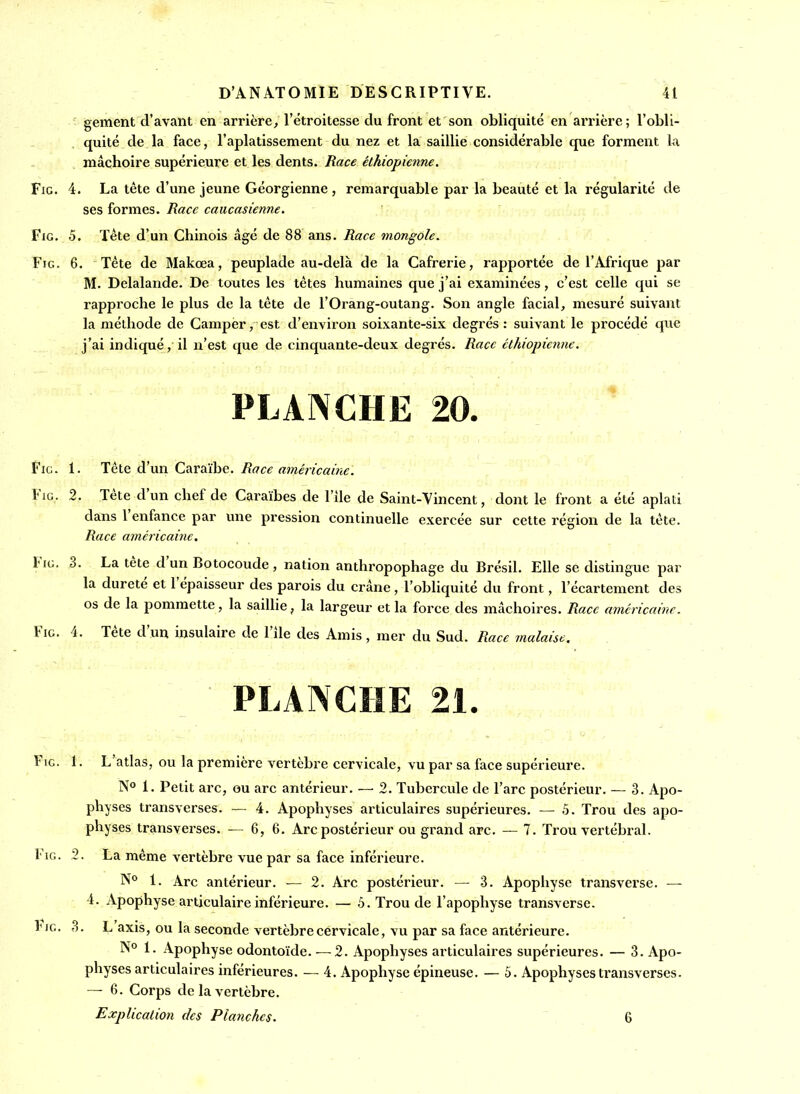 gement d'avant en arrière, l'étroitesse du front et son obliquité en arrière; l'obli- quité de la face, l'aplatissement du nez et la saillie considérable que forment U mâchoire supérieure et les dents. Race éthiopienne. Fie. 4. La tête d'une jeune Géorgienne , remarquable par la beauté et la régularité de ses formes. Race caucasienne. FiG. 5. Tête d'un Chinois âgé de 88 ans. Race mongole. FiG. 6. Tête de Makœa, peuplade au-delà de la Cafrerie, rapportée de l'Afrique par M. Delalande. De toutes les têtes humaines que j'ai examinées, c'est celle qui se rapproche le plus de la tête de l'Orang-outang. Son angle facial, mesuré suivant la méthode de Camper, est d'environ soixante-six degrés: suivant le procédé que j'ai indiqué, il n'est que de cinquante-deux degrés. Race Hhiopicnne. PLANCHE 20. Fie. 1. Tête d'un Caraïbe, /frt'ce «W2en'c«<c. FiG. 2. Tête d'un chef de Caraïbes de l'ile de Saint-Vincent, dont le front a été aplali dans l'enfance par une pression continuelle exercée sur cette région de la tête. Race américaine. FiG. 3. La tête d'un Botocoude, nation anthropophage du Brésil. Elle se distingue par la dureté et l'épaisseur des parois du crâne, l'obliquité du front, l'écartement des os de la pommette, la saillie, la largeur et la force des mâchoires. Race américaine. FiG. 4. Tète d'un insulaire de l'Ile des Amis, mer du Sud. Race malaise, PLANCHE 21. FiG. 1. L'atlas, ou la première vertèbre cervicale, vu par sa face supérieure. N° 1. Petit arc, ou arc antérieur. — 2. Tubercule de l'arc postérieur. — 3. Apo- physes transverses. — 4. Apophyses articulaires supérieures. — 5. Trou des apo- physes transverses. — 6, 6. Arc postérieur ou grand arc. — 7. Trou vertébral. FiG. 2. La même vertèbre vue par sa face inférieure. No 1. Arc antérieur. — 2. Arc postérieur. — 3. Apophyse transvei'se. — 4. Apophyse articulaire inférieure. — 5. Trou de l'apophyse transverse. 1';g. 3. L axis, ou la seconde vertèbre cervicale, vu par sa face antérieure. N° 1. Apophyse odontoïde. — 2. Apophyses articulaires supérieures. — 3. Apo- physes articulaires inférieures. — 4. Apophyse épineuse. — 5. Apophyses transverses. — 6. Corps de la vertèbre. Explication des Planches. 6