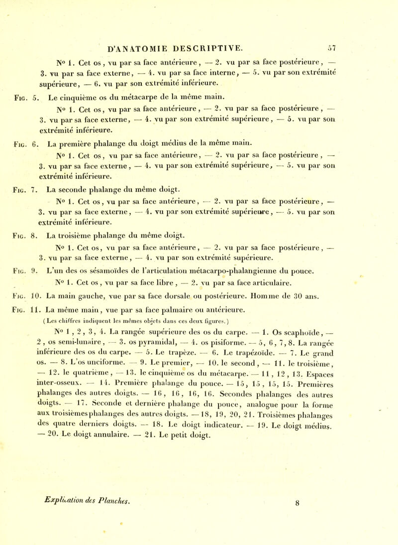 N° 1. Cet os , vu par sa face antérieure , — 2. vu par sa face postérieure, — 3. vu par sa face externe, — 4. vu par sa face interne, — 5. vu par son extrémité supérieure, — 6. vu par son extrémité inférieure. FiG. 5. Le cinquième os du métacarpe de la même main. N 1. Cet os, vu par sa face antérieure , — 2. vu par sa face postérieure , — 3. vu par sa face externe, — 4. vu par son extrémité supérieure, — 5. vu par son extrémité inférieure. FiG. 6. La première phalange du doigt médius de la même main. N° 1. Cet os, vu par sa face antérieure, — 2. vu par sa face postérieure , — 3. vu par sa face externe, — 4. vu par son extrémité supérieure, — 5. vu par son extrémité inférieure. FiG. 7. La seconde phalange du même doigt. N 1. Cet os, vu par sa face antérieure, — 2. vu par sa face postérieure, — 3. vu par sa face externe, — 4. vu par son extrémité supériem'e, — 5. vu par son extrémité inférieure. FiG. 8. La troisième phalange du même doigt. N° 1. Cet os, vu par sa face antérieure, — 2. vu par sa face postérieure, — 3. vu par sa face externe, — 4. vu par son extrémité supérieure. FiG. 9. L'un des os sésamoïdes de l'articulation métacarpo-phalangienne du pouce. N° 1. Cet os , vu par sa face libre , — 2. vu par sa face articulaii-e. FiG. 10. La main gauche, vue par sa face dorsale ou postérieure. Homme de 30 ans. FiG. 11. La même main, vue par sa face palmaire ou antérieure. (Les chiffres indiquent les mêmes objets dans ces deux Ggures.) 1 , 2, 3, 4. La rangée supérieure des os du carpe. — 1. Os scaphoïde, — 2 , os semi-lunaire, — 3. os pyramidal, — 4. os pisiforme. — 5, G, 7, 8. La rangée inférieure des os du carpe. — 5. Le trapèze. — 6. Le trapézoïde. — 7. Le grand os. — 8. L'os unciforme. — 9. Le premier, — 10. le second, — 11. le troisième, — 12. le quatrième , — 13. le cinquième os du métacarpe. — 11 , 12 , 13. Espaces inter-osseux. — 14. Première phalange dupouce. — 15, 15, 15, 15. Premières phalanges des autres doigts. — 16, 16, 16, 16. Secondes phalanges des autres doigts. — 17. Seconde et dernière phalange du pouce, analogue pour la forme aux troisièmes phalanges des autres doigts. —18, 19, 20, 21. Troisièmes phalanges des quatre derniers doigts. 18. Le doigt indicateur. — 19. Le doigt médius. — 20. Le doigt annulaire. — 21. Le petit doigt. ExplLation des Planches.