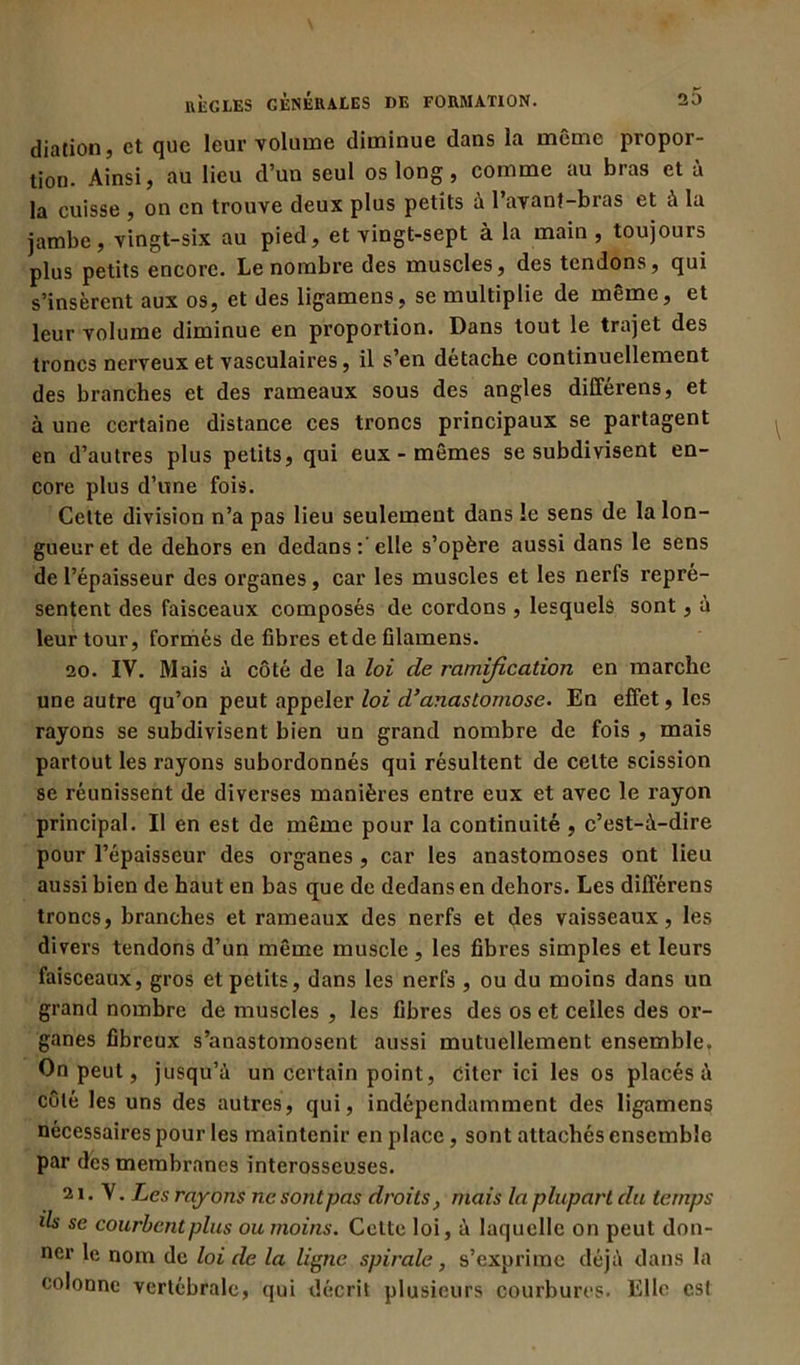 diation, et que leur volume diminue dans la même propor- tion. Ainsi, au lieu d’un seul os long, comme au bras et à la cuisse , on en trouve deux plus petits à l’avant-bras et à la jambe, vingt-six au pied, et vingt-sept à la main , toujours plus petits encore. Le nombre des muscles, des tendons, qui s’insèrent aux os, et des ligamens, se multiplie de même, et leur volume diminue en proportion. Dans tout le trajet des troncs nerveux et vasculaires, il s’en détache continuellement des branches et des rameaux sous des angles différens, et à une certaine distance ces troncs principaux se partagent en d’autres plus petits, qui eux - mêmes se subdivisent en- core plus d’une fois. Celte division n’a pas lieu seulement dans le sens de la lon- gueur et de dehors en dedans: elle s’opère aussi dans le sens de l’épaisseur des organes, car les muscles et les nerfs repré- sentent des faisceaux composés de cordons , lesquels sont, à leur tour, formés de fibres et de filamens. 20. IV. Mais à côté de la loi de ramification en marche une autre qu’on peut appeler loi d’anastomose. En effet, les rayons se subdivisent bien un grand nombre de fois , mais partout les rayons subordonnés qui résultent de celte scission se réunissent de diverses manières entre eux et avec le rayon principal. Il en est de même pour la continuité , c’est-à-dire pour l’épaisseur des organes , car les anastomoses ont lieu aussi bien de haut en bas que de dedans en dehors. Les différens troncs, branches et rameaux des nerfs et des vaisseaux, les divers tendons d’un même muscle , les fibres simples et leurs faisceaux, gros et petits, dans les nerfs , ou du moins dans un grand nombre de muscles , les fibres des os et celles des or- ganes fibreux s’anastomosent aussi mutuellement ensemble. On peut, jusqu’à un certain point, citer ici les os placés à côté les uns des autres, qui, indépendamment des ligamens nécessaires pour les maintenir en place, sont attachés ensemble par dés membranes interosseuses. 21. V. Les rayons ne sont pas droits} mais la plupart du temps ils se courbent plus ou moins. Cette loi, à laquelle on peut don- ner le nom de loi de la ligne spirale, s’exprime déjà dans la colonne vertébrale, qui décrit plusieurs courbures. Elle est