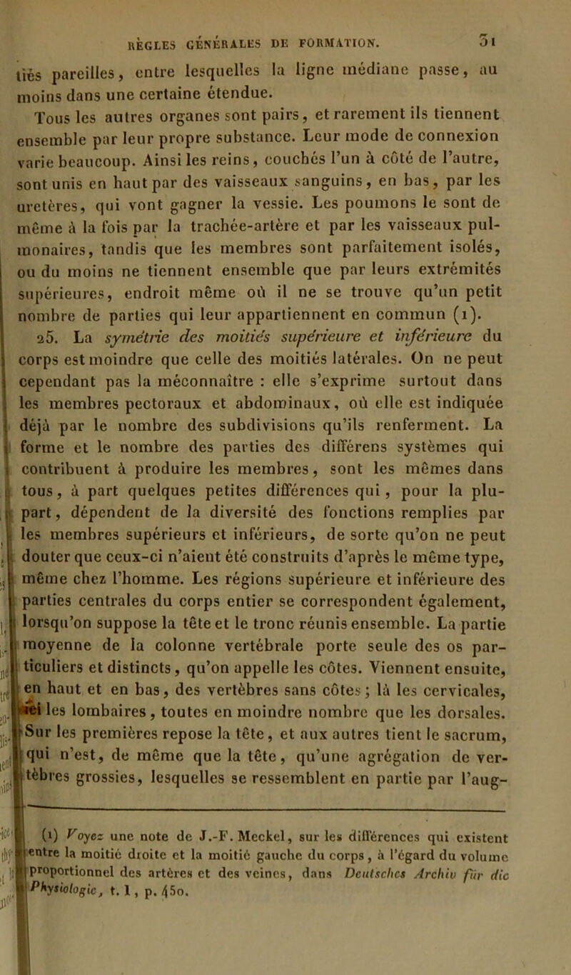 liés pareilles, entre lesquelles la ligne médiane passe, au moins dans une certaine étendue. Tous les autres organes sont pairs, et rarement ils tiennent ensemble par leur propre substance. Leur mode de connexion varie beaucoup. Ainsi les reins, couchés l’un à côté de l’autre, sont unis en haut par des vaisseaux sanguins, en bas, par les uretères, qui vont gagner la vessie. Les poumons le sont de même à la fois par la trachée-artère et par les vaisseaux pul- monaires, tandis que les membres sont parfaitement isolés, ou du moins ne tiennent ensemble que par leurs extrémités supérieures, endroit même où il ne se trouve qu’un petit | nombre de parties qui leur appartiennent en commun (1). 25. La symétrie des moitiés supérieure et inférieure du I corps est moindre que celle des moitiés latérales. On ne peut j cependant pas la méconnaître : elle s’exprime surtout dans Iles membres pectoraux et abdominaux, où elle est indiquée déjà par le nombre des subdivisions qu’ils renferment. La i forme et le nombre des parties des différens systèmes qui i contribuent à produire les membres, sont les mêmes dans tous, à part quelques petites différences qui , pour la plu- i part, dépendent de la diversité des fonctions remplies par 1 les membres supérieurs et inférieurs, de sorte qu’on ne peut douter que ceux-ci n’aient été construits d’après le même type, ' même chez l’homme. Les régions supérieure et inférieure des parties centrales du corps entier se correspondent également, lorsqu’on suppose la tête et le tronc réunis ensemble. La partie moyenne de la colonne vertébrale porte seule des os par- ticuliers et distincts , qu’on appelle les côtes. Viennent ensuite, en haut et en bas, des vertèbres sans côtes; là les cervicales, <ei les lombaires, toutes en moindre nombre que les dorsales. rSur les premières repose la tête, et aux autres tient le sacrum, qui n’est, de même que la tête, qu’une agrégation de ver- tèbres grossies, lesquelles se ressemblent en partie par l’aug- ■itf'l (0 }/°y cz une note de J.-F. Meckel, sur les différences qui existent llentre dioite et la moitié gauche du corps, à l’égard du volume I hlproportionnel des artères et des veines, dans Dcutsclics Archiv fur die 1' Physiologie, t. 1, p. 45o. jfi ■