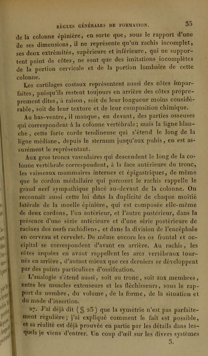 (le la colonne épinière, en sorte que, sous le rapport d’une de ses dimensions, il ne représente qu’un rachis incomplet, ses deux extrémités, supérieure et inférieure, qui ne suppor- tent point de côtes, ne sont que des imitations incomplètes de la portion cervicale et de la portion lombaire de cette colonne. Les cartilages costaux représentent aussi des côtes impar- faites, puisqu’ils restent toujours en arrière des côtes propre- prement dites, à raison, soit de leur longueur moins considé- rable, soit de leur texture et de leur composition chimique. Au bas-ventre, il manque, en devant, des parties osseuses qui correspondent à la colonne vertébrale; mais la ligne blan- che , cette forte corde tendineuse qui s’étend le long de la ligne médiane, depuis le sternum jusqu’aux pubis, en est as- surément le représentant. Aux gros troncs vasculaires qui descendent le long de la co- lonne vertébrale correspondent, à la face antérieure du tronc, les vaisseaux mammaires internes et épigastriques, de même que le cordon médullaire qui parcourt le rachis rappelle le grand nerf sympathique placé au-devant de la colonne. On reconnaît aussi cette loi datas la duplicité de chaque moitié latérale de la moelle épinière, qui est composée elle-même de deux cordons, l’un antérieur, et l’autre postérieur, dans la présence d’une série antérieure et d’une série postérieure de racines des nerfs rachidiens, et dans la division de l’encéphale en cerveau et cervelet. De même encore les os frontal et oc- cipital se correspondent d’avant en arrière. Au rachis, les côtes arquées en avant rappellent les arc3 vertébraux tour- nés en arrière , d’autant mieux que ces derniers se développent par des points particuliers d’ossification. L’analogie s’étend aussi, soit au tronc, soit aux membres, entre les muscles extenseurs et les fléchisseurs, sous le rap- port du nombre, du volume, de la forme, de la situation et du mode d’insertion. 27. J’ai déjà dit (§25) que la symétrie n’est pas parfaite- ment régulière; j’ai expliqué comment le fait est possible, et sa réalité est déjà prouvée en partie par les détails dans les- quels je viens d’entrer. Un coup d’œil sur les divers systèmes 5. ■ ■