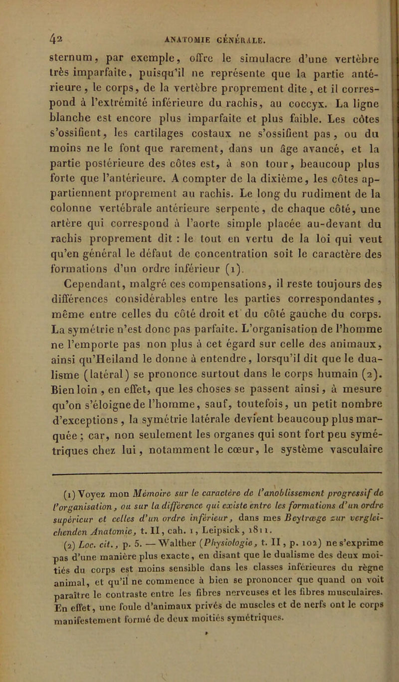 sternum, par exemple, offre le simulacre d’une vertèbre très imparfaite, puisqu’il ne représente que la partie anté- rieure , le corps, de la vertèbre proprement dite, et il corres- pond à l’extrémité inférieure du rachis, au coccyx. La ligne blanche est encore plus imparfaite et plus faible. Les côtes s’ossifient, les cartilages costaux ne s’ossifient pas, ou du moins ne le font que rarement, dans un âge avancé, et la partie postérieure des côtes est, à son tour, beaucoup plus forte que l’antérieure. A compter de la dixième, les côtes ap- partiennent proprement au rachis. Le long du rudiment de la colonne vertébrale antérieure serpente, de chaque côté, une artère qui correspond à l’aorte simple placée au-devant du rachis proprement dit : le tout en vertu de la loi qui veut qu’en général le défaut de concentration soit le caractère des formations d’un ordre inférieur (1). Cependant, malgré ces compensations, il reste toujours des différences considérables entre les parties correspondantes , même entre celles du côté droit et du côté gauche du corps. La symétrie n’est donc pas parfaite. L’organisation de l’homme ne l’emporte pas non plus à cet égard sur celle des animaux, ainsi qu’Heiland le donne â entendre, lorsqu’il dit que le dua- lisme (latéral) se prononce surtout dans le corps humain (2). Bien loin , en effet, que les choses se passent ainsi, à mesure qu’on s’éloigne de l’hoinme, sauf, toutefois, un petit nombre d’exceptions , la symétrie latérale devient beaucoup plus mar- quée ; car, non seulement les organes qui sont fort peu symé- triques chez lui, notamment le cœur, le système vasculaire (1) Voyez mon Mémoire sur le caractère de l’anoblissement progressif de l’organisation, ou sur la différence qui existe entre les formations d’un ordre supérieur et celles d’un ordre inférieur, dans mes Bcytrmge zur verglci- cliendcn Anatomie, t. Il, cah. 1, Leipsick, 1811. (2) Loc. cit., p. 5. —Walther (Physiologie, t. II, p. 102) ne s’exprime pas d’une manière plus exacte, en disant que le dualisme des deux moi- tiés du corps est moins sensible dans les classes inférieures du règne animal, et qu’il ne commence à bien se prononcer que quand on voit paraître le contraste entre les fibres nerveuses et les fibres musculaires. En effet, une foule d’animaux privés de muscles et de nerfs ont le corps manifestement formé de deux moitiés symétriques.