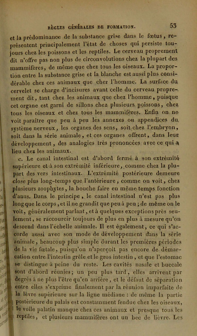 t' I! i I 11 H* an- M lièTtl fcll|| A #j J fl «I A . / 4 règles générales de formation. 53 et la prédominance de la substance grise dans le fœtus, re- présentent principalement l’état de choses qui persiste tou- jours chez les poissons et les reptiles. Le cerveau proprement dit n’offre pas non plus de circonvolutions chez la plupart des mammifères, de même que chez tous les oiseaux. La propor- tion entre la substance grise et la blanche est aussi plus consi- dérable chez ces animaux que chez l’homme. La surface du cervelet se charge d’incisures avant celle du cerveau propre-, ment dit, tant chez les animaux que chez l’homme, puisque cet organe est garni de sillons chez plusieurs, poissons, chez tous les oiseaux et chez tous les mammifères. Enfin on ne voit paraître que peu à peu les annexes ou appendices du. système nerveux, les organes des sens, soit chez l’embryon, soit dans la série animale, et ces organes offrent, dans leur développement, des analogies très prononcées avec ce qui a lieu chez les animaux. c. Le canal intestinal est d’abord fermé à son extrémité supérieure et ù son extrémité inférieure, comme chez la plu- part des vers intestinaux. L’extrémité postérieure demeure close plus long-temps que l’antérieure, comme on voit, chez plusieurs zoophytes, la bouche faire en même temps fonction d’anus. Dans le principe , le canal intestinal n’est pas plus long que le corps, et il ne grandit que peu à peu ; de même on le voit, généralement parlant, et à quelques exceptions près seu- lement, se raccourcir toujours de plus en plus à mesure qu’on descend dans l’échelle animale. Il est également, ce qui s’ac- corde aussi avec son mode de développement dans la série animale, beaucoup plus simple durant les premières périodes de la vie fœtale, puisqu’on n’aperçoit pas encore de démar- cation entre L’intestin grêle et le gros intestin , et que l’estomac se distingue à peine du reste. Les cavités nasale et buccale sont d’abord réunies; un peu plus tard, elles arrivent par degrés i ne plus l’être qu’en arrière, et le défaut de séparation entre elles s’exprime finalement par la réunion imparfaite de la lèvre supérieure sur la ligne médiane : de même la partie ;‘i postérieure du palais est constamment fendue chez les oiseaux, I voile palatin mauque chez ces animaux et presque tous les reptiles, et plusieurs mammifères ont un bec de lièvre. Les