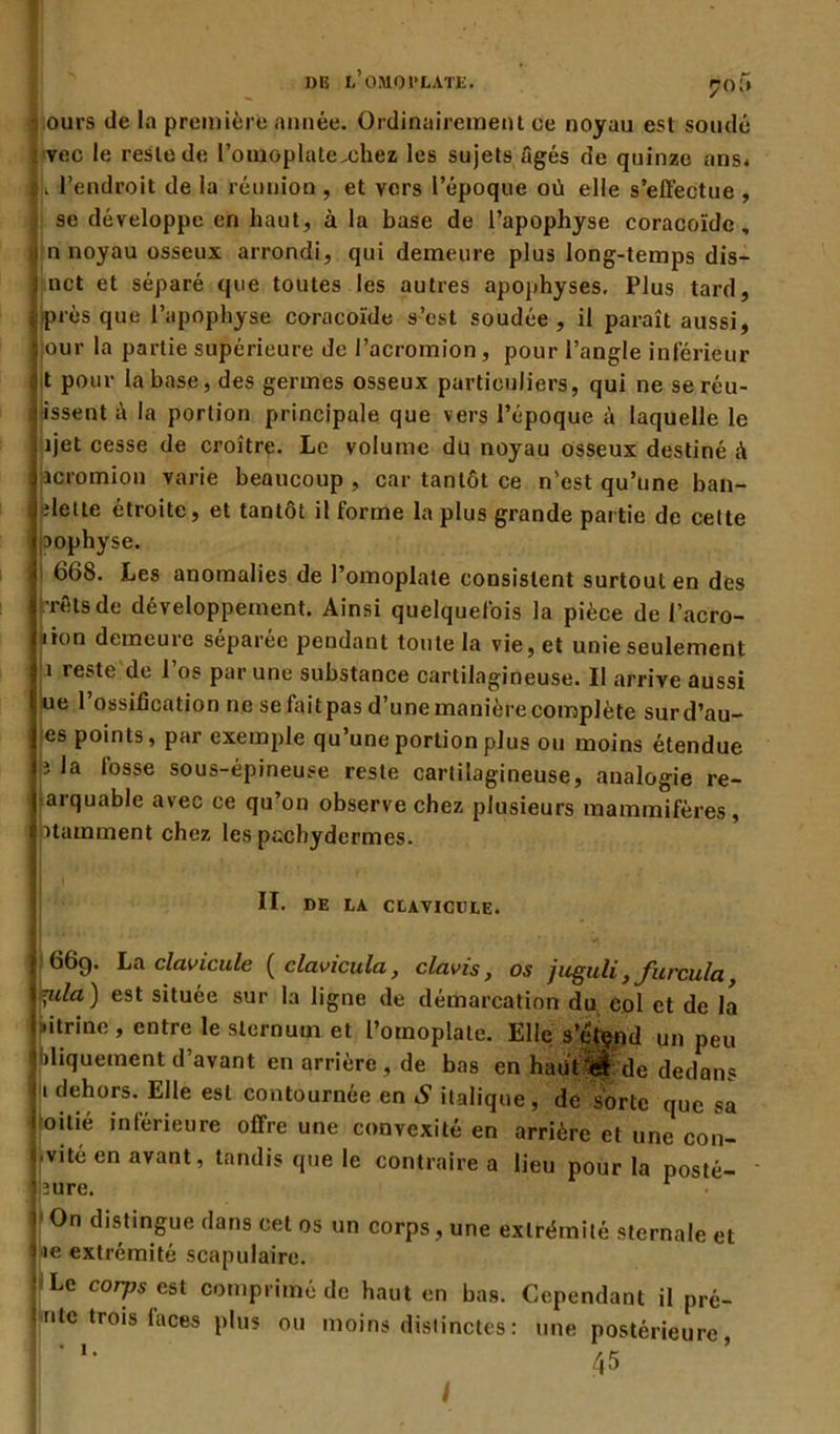 jrof* ours de la première année. Ordinairement ce noyau est soudé : vec le reste de l’oujoplatexhez les sujets âgés de quinze ans* t. l’endroit de la réunion , et vers l’époque où elle s’effectue , Ise développe en haut, à la base de l’apophyse coracoïde, n noyau osseux arrondi, qui demeure plus long-temps dis- nct et séparé que toutes les autres apophyses. Plus tard, près que l’apophyse coracoïde s’est soudée, il paraît aussi, our la partie supérieure de l’acromion, pour l’angle inférieur t pour la base, des germes osseux particuliers, qui ne seréu- tissent à la portion principale que vers l’époque à laquelle le > ijet cesse de croître. Le volume du noyau osseux destiné à jacromion varie beaucoup, car tantôt ce n’est qu’une ban- fdette étroite, et tantôt il forme la plus grande partie de celte pophyse. 668. Les anomalies de l’omoplate consistent surtout en des rêtsde développement. Ainsi quelquefois la pièce de l’acro- «ion demeure séparée pendant toute la vie, et unie seulement i reste de 1 os par une substance cartilagineuse. II arrive aussi ue 1 ossification ne se faitpas d’une manière complète surd’au- es points, par exemple qu’une portion plus ou moins étendue î la fosse sous-épineuse reste cartilagineuse, analogie re- arquable avec ce qu’on observe chez plusieurs mammifères, itamment chez les pachydermes. II. DE LA CLAVICULE. 669. La clavicule ( clavicula, clavis, os juguli} fuvcula, ruia) est située sur la ligne de démarcation du. Col et de la .itrine , entre le sternum et l’omoplate. Elle s’etçpd un peu diquement d’avant en arrière , de bas en hautM de dedans 1 dehors. Elle est contournée en S italique, de sorte que sa foitié inférieure offre une convexité en arrière et une con- vité en avant, tandis que le contraire a lieu pour la posté- îure. 1 ’ On distingue dans cet os un corps, une extrémité sternale et ie extrémité scapulaire. Le corps est comprimé de haut en bas. Cependant il pré- ntc trois faces plus ou moins distinctes : une postérieure 45 1