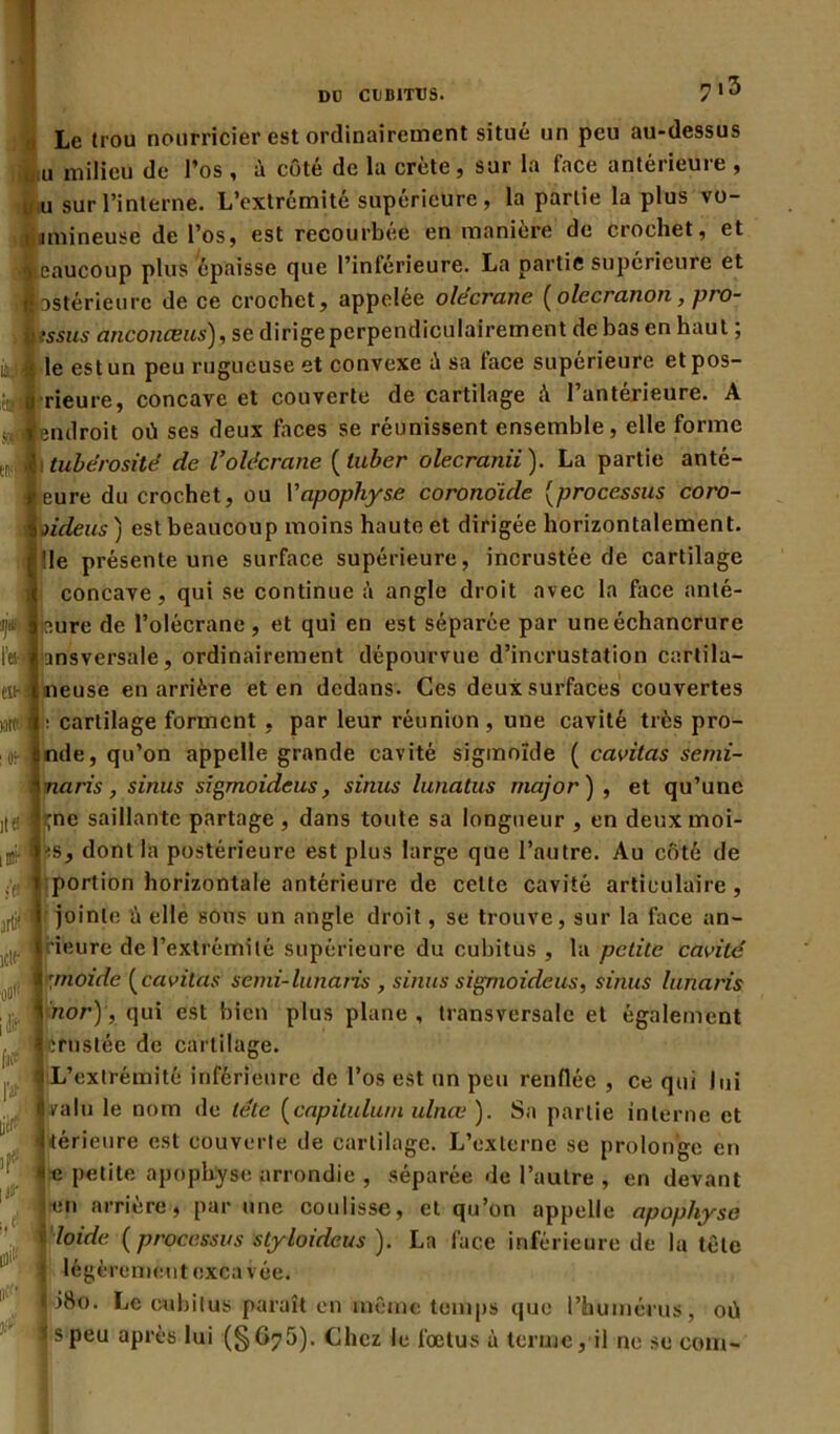 DO CUBITUS. ? l3 , Le trou nourricier est ordinairement situé un peu au-dessus u milieu de l’os , à côté de la crête, sur la face antérieure , u sur l’interne. L’extrémité supérieure, la partie la plus vo- amineuse de l’os, est recourbée en manière de crochet, et Beaucoup plus épaisse que l’inférieure. La partie supérieure et «ostérieufe de ce crochet, appelée olecrane {olecranon, pro- y tssus anconæus), se dirige perpendiculairement de bas en haut ; ;; le estun peu rugueuse et convexe ù sa face supérieure etpos- rieure, concave et couverte de cartilage à l’antérieure. A . ■endroit où ses deux faces se réunissent ensemble, elle forme enij fi tubérosité de l’olécrane (luber olecranii). La partie anté- leure du crochet, ou Vapophyse coronoide (processus coro- soideus) est beaucoup moins haute et dirigée horizontalement. î,e présente une surface supérieure, incrustée de cartilage concave, qui se continue à angle droit avec la face anté- sl'aure de l’olécrane, et qui en est séparée par une échancrure l’es-,I msversale, ordinairement dépourvue d’incrustation cartila- ineuse en arrière et en dedans. Ces deuxsurfaces couvertes a: cartilage forment , par leur réunion , une cavité très pro- e, qu’on appelle grande cavité sigmoïde ( cavitas semi- Inam, sinus sigmoideus, sinus lunatus major ) , et qu’une jtfl lW saillante partage , dans toute sa longueur , en deux moi- i-;s, dont la postérieure est plus large que l’autre. Au côté de t portion horizontale antérieure de cette cavité articulaire, art*' ici!' oo»' OH i jointe 'à elle sous un angle droit, se trouve, sur la face an- Jrieure de l’extrémité supérieure du cubitus , la petite cavité \ :moide (cavitas semi-lunaris , sinus signioideus, sinus lunaris 1 nor), qui est bien plus plane, transversale et également Jcrustée de cartilage. |, L’extrémité inférieure de l’os est un peu renflée , ce qui lui valu le nom de tête (capitulum ulnœ ). Sa partie interne et i(f? Itérieure est couverte de cartilage. L’externe se prolonge en ! * c petite apophyse arrondie , séparée de l’autre , en devant en arrière, par une coulisse, et qu’on appelle apophyse Xloide {processus styloideus ). La face inférieure de la tête légèrement excavée. î )8o. Le cubitus paraît en même temps que l’humérus, où is Peu après lui (§675). Chez le fœtus à terme, il ne se com- i!ï