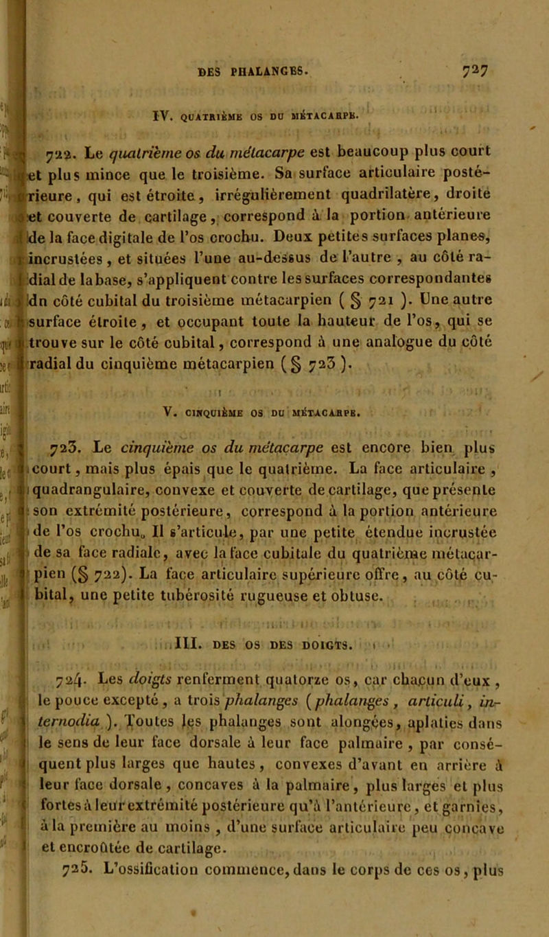 IV. QUATRIÈME OS DU METACARPE. & , > # ‘ i 1) S- * ' • • • • ’ ■ ' ' . ' ' ' * J f i I . ii U 722. Le quatrième os du métacarpe est beaucoup plus court jet plus mince que le troisième. Sa surface articulaire posté— 'y0rieure , qui est étroite, irrégulièrement quadrilatère, droite 3*;t couverte de cartilage, correspond à la portion antérieure ,{Ide la face digitale de l’os crochu. Deux petites surfaces planes, 1 incrustées , et situées l’une au-dessus de l’autre , au côté ra- Îidial de labase, s’appliquent contre les surfaces correspondantes !dn côté cubital du troisième métacarpien ( § 721 ). Une autre surface étroite, et occupant toute la hauteur de l’os, qui se im trouve sur le côté cubital, correspond à une analogue du côté radial du cinquième métacarpien (§ 723 ). V. CINQUIÈME OS DU MKTACARPB. 723. Le cinquième os du métacarpe est encore bien plus ■ court, mais plus épais que le quatrième. La face articulaire , ; quadrangulaire, convexe et couverte de cartilage, que présente son extrémité postérieure, correspond à la portion antérieure 1 de l’os crochu,, Il s’articule, par une petite étendue incrustée de sa face radiale, avec la face cubitale du quatrième métacar- pien (§ 722). La face articulaire supérieure offre, au côté cu- bital, une petite tubérosité rugueuse et obtuse. iH K I f b ! ' i! > '• U III. DES OS DES DOIGTS. I • 724. Les doigts renferment quatorze os, car chacun d’eux , le pouce excepté , a trois phalanges (phalanges , arliculi, in- ternodia ). 'JL’oules les phalanges sont alongées, aplaties dans le sens de leur face dorsale à leur face palmaire , par consé- quent plus larges que hautes, convexes d’avant en arrière i leur face dorsale, concaves à la palmaire, plus larges et plus fortes t\ leur extrémité postérieure qu’à l’antérieure, etgarnies, à la première au moins , d’une surface articulaire peu concave et encroûtée de cartilage. 725. L’ossification commence,dans le corps de ces os, plus