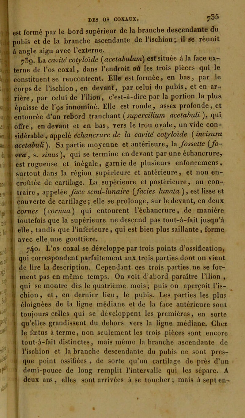 DES OS COXAXX. 7^5 est formé par le bord supérieur de la branche descendante du pubis et de la branche ascendante de l’ischion; il se réunit à angle aigu avec l’externe. <ÿ7)Cf. La cavité cotyloide (acetabuluni) est situee a la face ex- terne de l’os coxal, dans l’endroit où les trois pièces qui le constituent se rencontrent. Elle est formée, en bas, par le corps de l’ischion, en devant, par celui du pubis, et en ar- rière, par celui de l’ilion, c’est-à-dire par la portion la plus épaisse de l’os innominé. Elle est ronde, assez profonde, et entourée d’un rebord tranchant (supercilium acetabuli ), qui offre, en devant et en bas, vers le trou ovale, un vide con- sidérable , appelé échancrure de, la cavité cotyloide ( incisura acetabuli). Sa partie moyenne et antérieure, la fossette [fo- vea, s. sinus), qui se termine en devant par une échancrure, est rugueuse et inégale, garnie de plusieurs enfoncemens, surtout dans la région supérieure et antérieure, et non en- croûtée de cartilage. La supérieure et postérieure, au con- traire , appelée face semi-lunaire [faciès lunata ), est lisse et couverte de cartilage; elle se prolonge, sur le devant, en deux cornes (cornua) qui entourent l’échancrure, de manière toutefois que la supérieure ne descend pas tout-à-fait jusqu’à elle, tandis que l’inférieure, qui est bien plus saillante, forme avec elle une gouttière. ^4o. L’os coxal se développe par trois points d’ossification, qui correspondent parfaitement aux trois parties dont on vient de lire la description. Cependant ces trois parties ne se for- ment pas en même temps. Ou voit d’abord paraître l’ilion , qui se montre dès le quatrième mois; puis on aperçoit l’is- chion , et, en dernier lieu, le pubis. Les parties les plus éloignées de la ligne médiane et de la face antérieure sont toujours celles qui se développent les premières, en sorte qu’elles grandissent du dehors vers la ligne médiane. Chez le fœtus à terme, non seulement les trois pièces sont encore tout-à-fait distinctes, mais même la branche ascendante de l’ischion et la branche descendante du pubis ne sont pres- que point ossifiées , de sorte qu’un cartilage de près d’un demi-pouce de long remplit l’intervalle qui les sépare. A deux ans, elles sont arrivées à se toucher; mais à sept en-