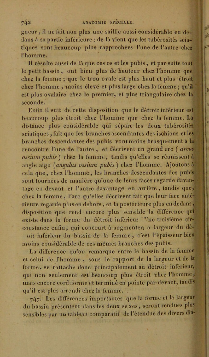 gueur, il ne fait non plus une saillie aussi considérable en de- dans à sa partie inférieure : de là vient que les tubérosités scia- tiques sont beaucoup plus rapprochées l’une de l’autre chez l’homme. Il résulte aussi de là que ces os et les pubis, cl par suite tout le petit bassin, ont bien plus de hauteur chez l’homme que chez la femme ; que le trou ovale est plus haut et plus étroit chez l’homme , moins élevé et plus large chez la femme ; qu’il est plus ovalaire chez le premier, et plus triangulaire chez la seconde. Enfin il suit de cette disposition que le détroit inférieur est beaucoup plus étroit chez l’homme que chez la femme. La distance plus considérable qui sépare les deux tubérosités sciatiques, fait que les branches ascendantes des ischions et les branches descendantes des pubis vontmoins brusquement à la rencontre l’une de l’autre , et décrivent un grand arc ( arcus ossium pubis) chez la femme, tandis qu’elles se réunissent à angle aigu [angulus ossium pubis ) chez l’homme. Ajoutons à cela que, chez l’homme, les branches descendantes des pubis sont tournées de manière qu’une de leurs faces regarde davan- tage en devant et l’autre davantage en arrière, tandis que, chez la femme, l’arc qu’elles décrivent fait que leur face anté- rieure regarde plus en dehors , et la postérieure plus en dedans, disposition que rend encore plus sensible la différence qui existe dans la forme du détroit inférieur T,ne troisième cir- constance enfin, qui concourt à augmenter a largeur du dé- oit inférieur du bassin de la femme, c’est l’épaisseur bien moins considérable de ces mêmes branches des pubis. La différence qu’on remarque entre le bassin de la femme et celui de l’homme , sous le rapport de la largeur et de la forme, se rattache donc principalement au détroit inférieur, qui non seulement est beaucoup plus étroit chez l'homme, mais encore cordiforme et terminé en pointe par-devant, tandis qu’il est plus arrondi chez la femme. 74”- Les différences importantes que la forme et la largeur du bassin présentent dans les deux sexes, seront rendues plus sensibles par un tableau comparatif de l’étendue des divers dia-