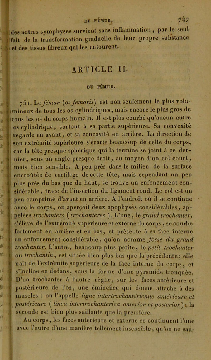 des autres symphyses survient sans inflammation , par le seul fait de la transformation graduelle de leur propre substance i et des tissus fibreux qui les entourent. ARTICLE II. DU FEMUR. ?5i. Le.fémur (osfemoris) est non seulement le plus volu- mineux de tous les os cylindriques, mais encore le plus gros de tous les os du corps humain. 11 est plus courbé qu’aucun autre os cylindrique, surtout à sa partie supérieure. Sa convexité regarde en avant, et sa concavité en arrière. La direction de son extrémité supérieure s’écarte beaucoup de celle du corps, car la tête presque sphérique qui la termine se joint à ce der- nier, sous un angle presque droit, au moyen d’un col court, mais bien sensible. A peu près dans le milieu de la surface encroûtée de cartilage de cette tête, mais cependant un peu plus près du bas que du haut, se trouve un enfoncement con- sidérable, trace de l’insertion du ligament rond. Le col est un peu comprimé d’avant en arrière. A l’endroit où il se continue avec le corps, on aperçoit deux apophyses considérables, ap- pelées trochanters ( trochanteres ). L’une, le grand trochanter, s’élève de l’extrémité supérieure et externe du corps , se courbe fortement en arrière et en bas, et présente à sa face interne un enfoncement considérable, qu’on nomme fosse du grand trochanter. L’autre, beaucoup plus petite, le petit trochanter ou trochantin, est située bien plus bas que la précédente; elle naît de l’extrémité supérieure de la face interne du corps, et s’incline en dedans, sous la forme d’une pyramide tronquée. D’un trochanter à l’autre règne, sur les faces antérieure et postérieure de l’os, une éminence qui donne attache à des muscles : on l’appelle ligne intertrochantérienne antérieure et è Ki ut ifi t ' I >!■ ft * postérieure ( line a intertrochanterica anterior et posterior) ; la seconde est bien plus saillante que la première. Au corps, les fiices antérieure et externe se continuent l’une avec l’autre d’une manière tellement insensible, qu’on ne sau-