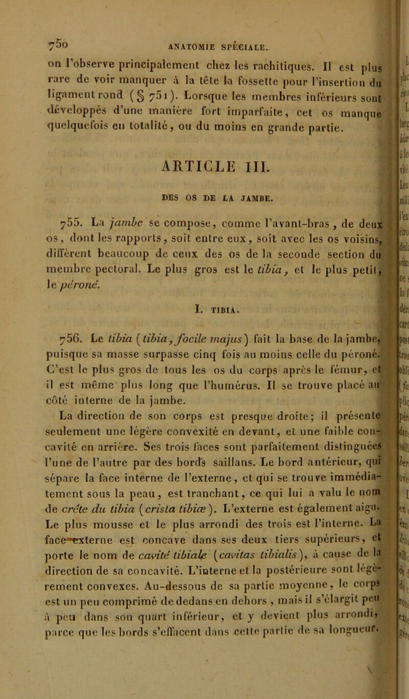 on l’observe principalement chez les rachitiques. Il est plus rare de voir manquer à la tête la fossette pour l’insertion du ligament rond 7^1 )• Lorsque les membres inférieurs sont développés d’une manière fort imparfaite, cet os manque quelquefois en totalité, ou du moins en grande partie. ARTICLE III. DES OS DE LA JAMBE. 755. La jambe se compose, comme l’avanl-bras , de deux os, dont les rapports, soit entre eux, soit avec les os voisins, diffèrent beaucoup de ceux des os de la seconde section du membre pectoral. Le plus gros est le tibia, et le plus petit, le péroné. I. TIBIA. 756. Le tibia [tibia, focile rnajus) fait la base de la jambe, puisque sa masse surpasse cinq fois au moins celle du péroné. C’est le plus gros de tous les os du corps après le fémur, et il est même plus long que l’humérus. Il se trouve placé au côté interne de la jambe. La direction de son corps est presque droite; il présente seulement une légère convexité en devant, et une faible cou-, cavité en arrière. Ses trois faces sont parfaitement distinguées l’une de l’autre par des bords saillans. Le bord antérieur, qui sépare la face interne de l’externe, et qui se trouve immédia- tement sous la peau, est tranchant, ce qui lui a valu le nom de crête du tibia [crisla tibiœ). L’externe est également aigu. Le plus mousse et le plus arrondi des trois est l’interne. La face-externe est concave dans ses deux tiers supérieurs, et porte le nom de cavité tibiale [cavitas tibialis), à cause de la direction de sa concavité. L’interne et la postérieure sont légè- rement convexes. Au-dessous de sa partie moyenne, le corps est un peu comprimé de dedans en dehors , mais il s’élargit peu à peu dans son quart inférieur, et y devient plus arrondi, parce que les bords s’effacent dans celte partie de sa longueur.