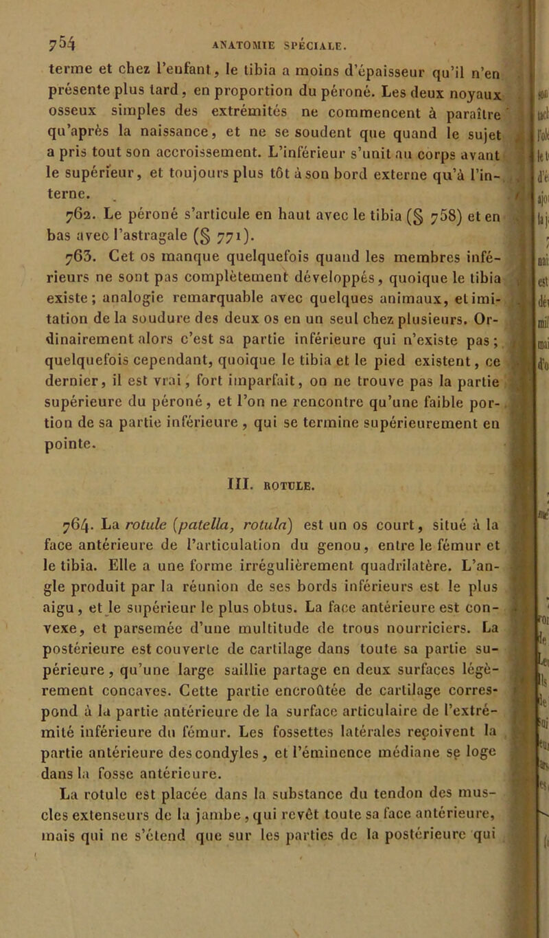 terme et chez l’enfant , le tibia a moins d’épaisseur qu’il n’en présente plus lard, en proportion du péroné. Les deux noyaux osseux simples des extrémités ne commencent à paraître qu’après la naissance, et ne se soudent que quand le sujet a pris tout son accroissement. L’inférieur s’unit au corps avant le supérieur, et toujours plus tôt à son bord externe qu’à l’in- terne. 762. Le péroné s’articule en haut avec le tibia (§ 758) et en bas avec l’astragale (§ 771). 763. Cet os manque quelquefois quand les membres infé- rieurs ne sont pas complètement développés, quoique le tibia existe; analogie remarquable avec quelques animaux, elimi- tation de la soudure des deux os en un seul chez plusieurs. Or- dinairement alors c’est sa partie inférieure qui n’existe pas; quelquefois cependant, quoique le tibia et le pied existent, ce dernier, il est vrai, fort imparfait, on ne trouve pas la partie supérieure du péroné, et l’on ne rencontre qu’une faible por- tion de sa partie inférieure , qui se termine supérieurement en pointe. III. ROTULE. 764. La rotule (patelin, rotula) est un os court, situé à la face antérieure de l’articulation du genou, entre le fémur et le tibia. Elle a une forme irrégulièrement quadrilatère. L’an- gle produit par la réunion de ses bords inférieurs est le plus aigu , et le supérieur le plus obtus. La face antérieure est con- vexe, et parsemée d’une multitude de trous nourriciers. La postérieure est couverte de cartilage dans toute sa partie su- périeure, qu’une large saillie partage en deux surfaces légè- rement concaves. Cette partie encroûtée de cartilage corres- pond à la partie antérieure de la surface articulaire de l’extré- mité inférieure du fémur. Les fossettes latérales reçoivent la partie antérieure descondyles, et l’éminence médiane se loge dans la fosse antérieure. La rotule est placée dans la substance du tendon des mus- cles extenseurs de la jambe, qui revêt toute sa face antérieure, mais qui ne s’étend que sur les parties de la postérieure qui