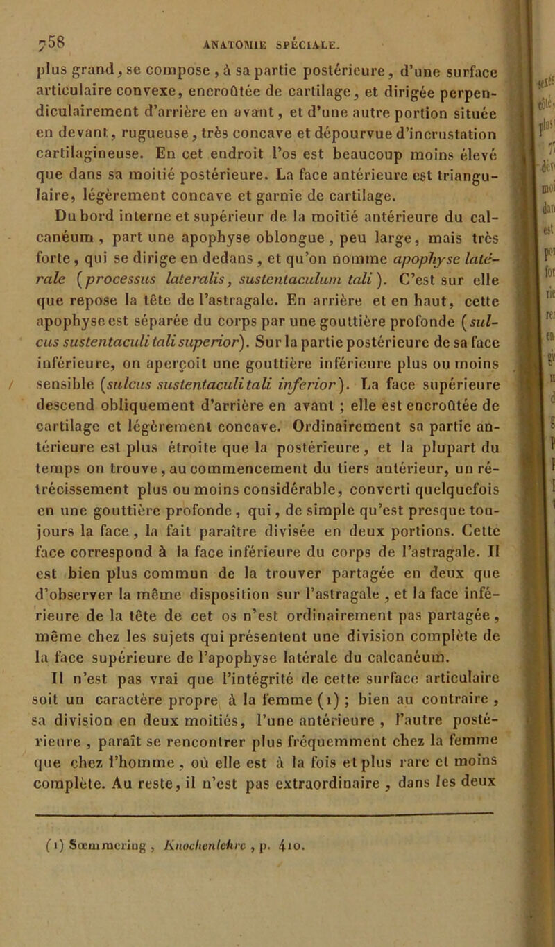 plus grand, se compose , à sa partie postérieure, d’une surface articulaire convexe, encroûtée de cartilage, et dirigée perpen- diculairement d’arrière en avant, et d’une autre portion située en devant, rugueuse, très concave et dépourvue d’incrustation cartilagineuse. En cet endroit l’os est beaucoup moins élevé que dans sa moitié postérieure. La face antérieure est triangu- laire, légèrement concave et garnie de cartilage. Du bord interne et supérieur de la moitié antérieure du cal- canéum , part une apophyse oblongue, peu large, mais très forte , qui se dirige en dedans , et qu’on nomme apophyse laté- rale (processus lateralis, suslenlaculuin tali ). C’est sur elle que repose la tête de l’astragale. En arrière et en haut, cette apophyse est séparée du corps par une gouttière profonde (sul- cus sustentaculi talisuperior). Sur la partie postérieure de sa face inférieure, on aperçoit une gouttière inférieure plus ou moins sensible (sulcus sustentaculi tali inferior). La face supérieure descend obliquement d’arrière en avant ; elle est encroûtée de cartilage et légèrement concave. Ordinairement sa partie an- térieure est plus étroite que la postérieure, et la plupart du temps on trouve, au commencement du tiers antérieur, un ré- trécissement plus ou moins considérable, converti quelquefois en une gouttière profonde, qui, de simple qu’est presque tou- jours la face , la fait paraître divisée en deux portions. Cette face correspond à la face inférieure du corps de l’astragale. Il est bien plus commun de la trouver partagée en deux que d’observer la même disposition sur l’astragale , et la face infé- rieure de la tête de cet os n’est ordinairement pas partagée, même chez les sujets qui présentent une division complète de la face supérieure de l’apophyse latérale du calcanéum. Il n’est pas vrai que l’intégrité de cette surface articulaire soit un caractère propre à la femme (1) ; bien au contraire , sa division en deux moitiés, l’une antérieure , l’autre posté- rieure , paraît se rencontrer plus fréquemment chez la femme que chez l’homme, où elle est à la fois et plus rare et moins complète. Au reste, il n’est pas extraordinaire , dans les deux fi) Socmmcriag , Knochvn lettre , p. 4io.