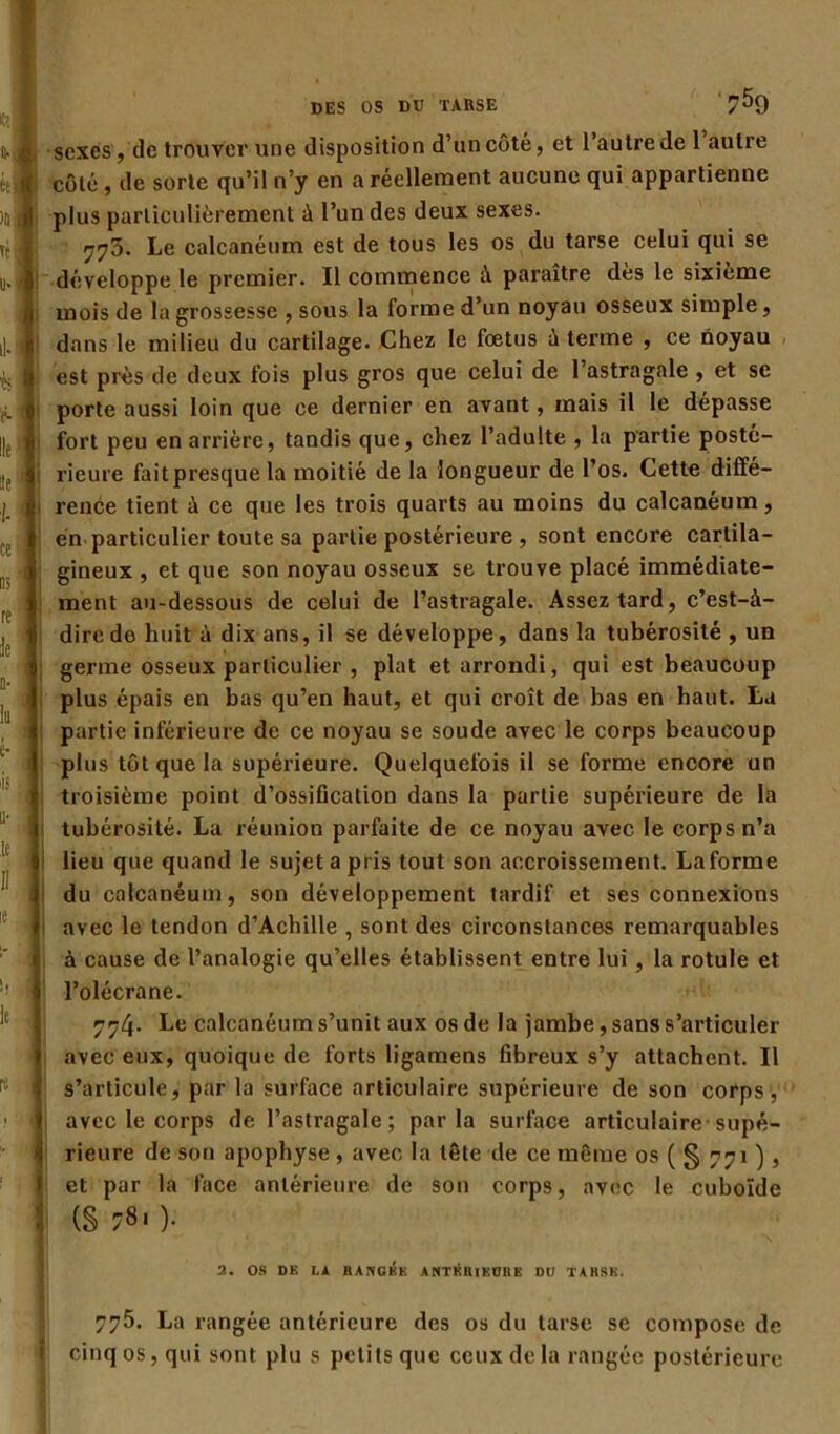 [). J M )n| Tél u- DES OS MJ TARSE 759 sexes, de trouver une disposition d’un côté, et l’autre de 1 autre côté , de sorte qu’il n’y en a réellement aucune qui appartienne plus particulièrement à l’un des deux sexes. 770. Le calcanéum est de tous les os du tarse celui qui se développe le premier. Il commence à paraître dès le sixième mois de la grossesse , sous la forme d’un noyau osseux simple, dans le milieu du cartilage. Chez le fœtus à terme , ce noyau est près de deux fois plus gros que celui de l’astragale, et se porte aussi loin que ce dernier en avant, mais il le dépasse fort peu en arrière, tandis que, chez l’adulte , la partie posté- rieure faitpresque la moitié de la longueur de l’os. Cette diffé- rence tient à ce que les trois quarts au moins du calcanéum, en particulier toute sa partie postérieure , sont encore cartila- gineux , et que son noyau osseux se trouve placé immédiate- ment au-dessous de celui de l’astragale. Assez tard, c’est-à- dire de huit à dix ans, il se développe, dans la tubérosité , un germe osseux particulier , plat et arrondi, qui est beaucoup plus épais en bas qu’en haut, et qui croît de bas en haut. La partie inférieure de ce noyau se soude avec le corps beaucoup plus tôt que la supérieure. Quelquefois il se forme encore un troisième point d’ossification dans la partie supérieure de la tubérosité. La réunion parfaite de ce noyau avec le corps n’a lieu que quand le sujet a pris tout son accroissement. La forme du calcanéum, son développement tardif et ses connexions avec le tendon d’Achille , sont des circonstances remarquables à cause de l’analogie qu’elles établissent entre lui , la rotule et l’olécrane. 7^4- Le calcanéum s’unit aux os de la jambe, sans s’articuler avec eux, quoique de forts ligamens fibreux s’y attachent. Il s’articule, par la surface articulaire supérieure de son corps, avec le corps de l’astragale; parla surface articulaire-supé- rieure de son apophyse , avec la tête de ce même os ( § 771 ), et par la face antérieure de son corps, avec le cuboïde (S )• 2. OS DE LA RANGÉE ANTÉRIEURE DU TARSE. 775. La rangée antérieure des os du tarse se compose de cinq os, qui sont plu s petits que ceux de la rangée postérieure