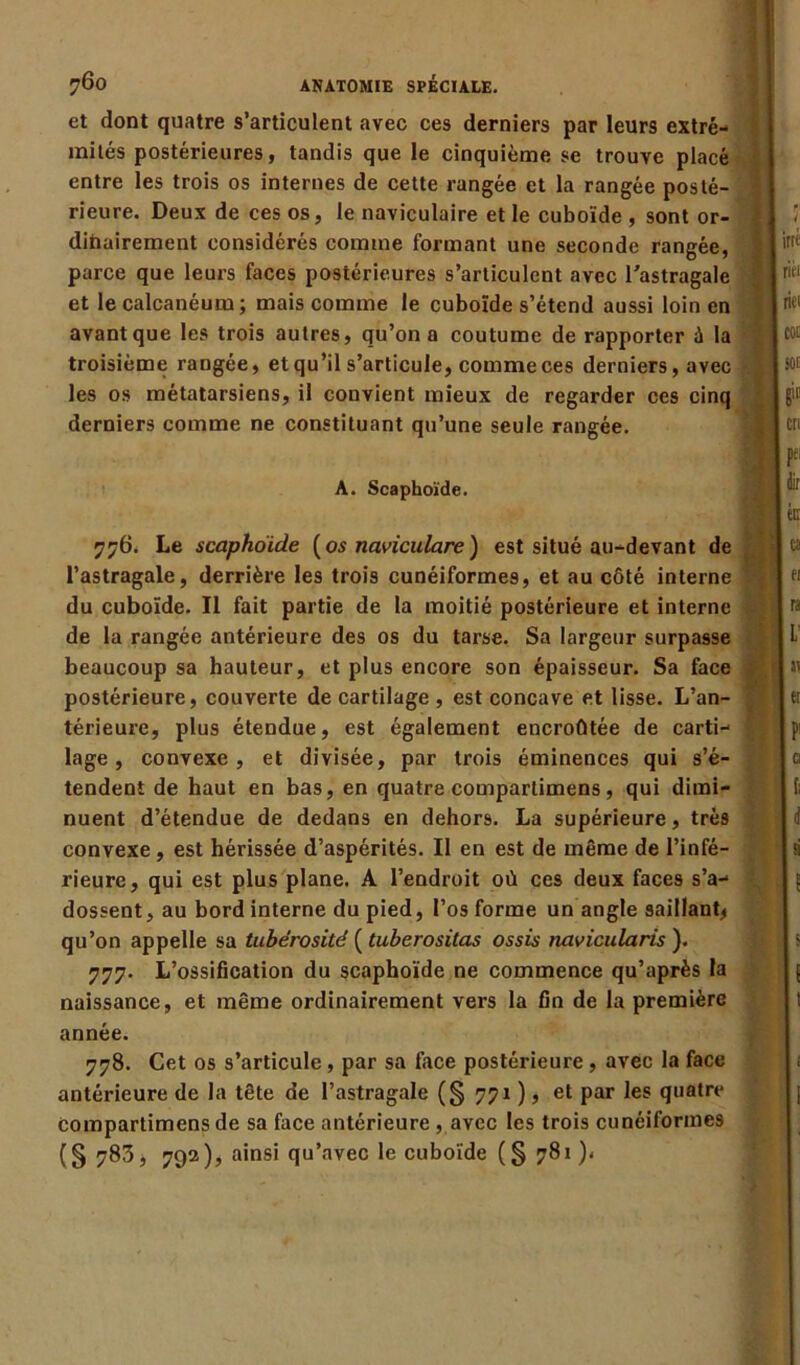 et dont quatre s’articulent avec ces derniers par leurs extré- mités postérieures, tandis que le cinquième se trouve placé entre les trois os internes de cette rangée et la rangée posté- rieure. Deux de ces os, le naviculaire et le cuboïde , sont or- dihairement considérés comme formant une seconde rangée, parce que leurs faces postérieures s’articulent avec l’astragale et le calcanéum; mais comme le cuboïde s’étend aussi loin en avant que les trois autres, qu’on a coutume de rapporter ù la troisième rangée, et qu’il s’articule, comme ces derniers, avec les os métatarsiens, il convient mieux de regarder ces cinq derniers comme ne constituant qu’une seule rangée. A. Scaphoïde. 776. Le scaphoïde {os naviculare) est situé au-devant de l’astragale, derrière les trois cunéiformes, et au côté interne du cuboïde. Il fait partie de la moitié postérieure et interne de la rangée antérieure des os du tarse. Sa largeur surpasse beaucoup sa hauteur, et plus encore son épaisseur. Sa face - postérieure, couverte de cartilage , est concave et lisse. L’an- térieure, plus étendue, est également encroûtée de carti- f lage, convexe, et divisée, par trois éminences qui s’é- tendent de haut en bas, en quatre compartimens, qui dimi- nuent d’étendue de dedans en dehors. La supérieure, très convexe , est hérissée d’aspérités. II en est de même de l’infé- rieure, qui est plus plane. A l’endroit où ces deux faces s’a- dossent, au bord interne du pied, l’os forme un angle saillant* qu’on appelle sa tubérosité { tuberosilas ossis navicularis ). 777. L’ossification du scaphoïde ne commence qu’après la naissance, et même ordinairement vers la fin de la première année. 778. Cet os s’articule , par sa face postérieure , avec la face antérieure de la tête de l’astragale (§ 771 ) » et par les quatre compartimens de sa face antérieure , avec les trois cunéiformes (S 783, 792), ainsi qu’avec le cuboïde (§ 781 )<