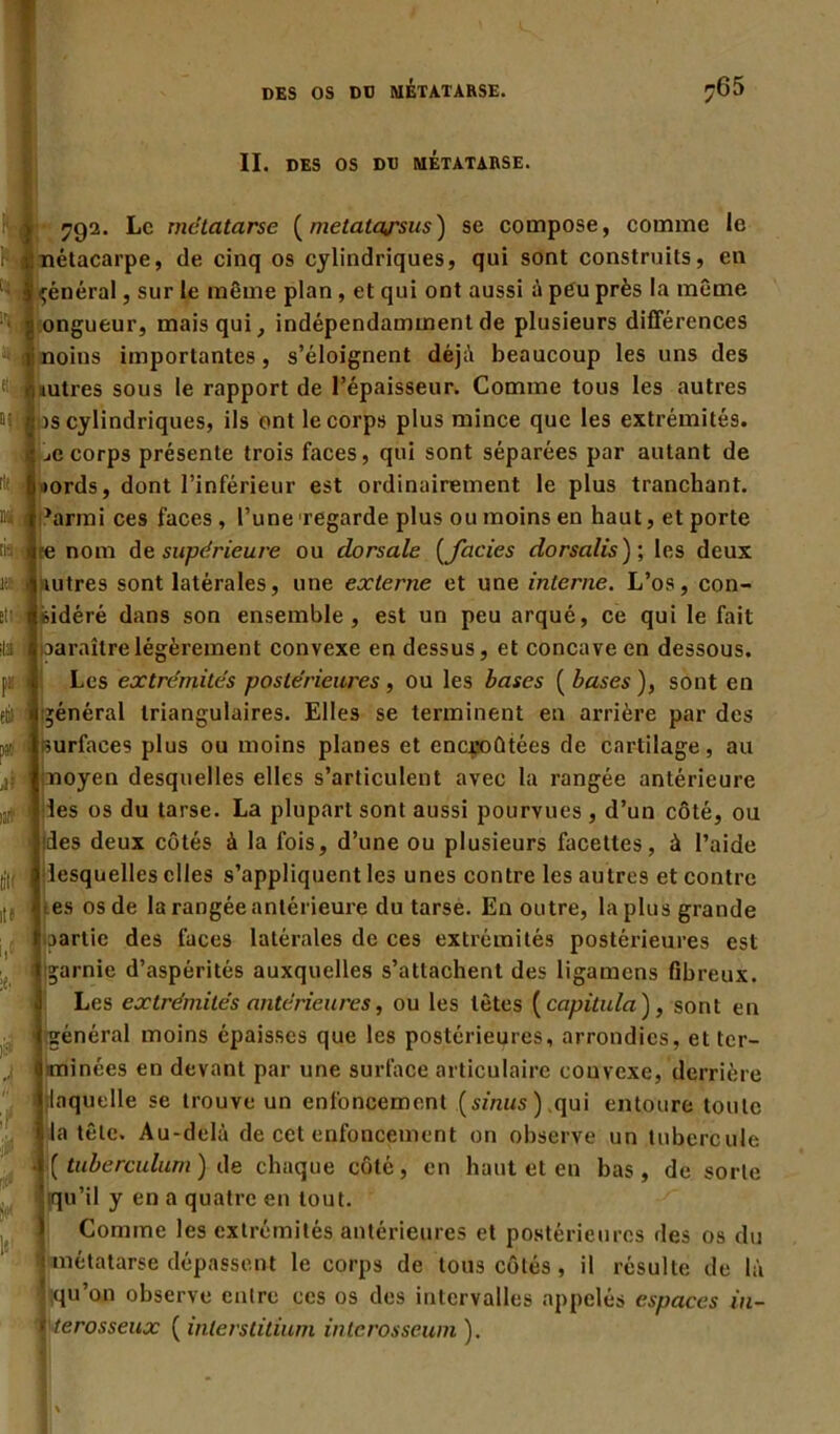 II. DES OS DD MÉTATARSE. tt: Hat F > 792. Le métatarse ( metatqfsus) se compose, comme le . nétacarpe, de cinq os cylindriques, qui sont construits, en général, sur le même plan , et qui ont aussi à peu près la même ongueur, mais qui, indépendamment de plusieurs différences noins importantes, s’éloignent déjà beaucoup les uns des autres sous le rapport de l’épaisseur. Comme tous les autres os cylindriques, ils ont le corps plus mince que les extrémités. 1 jC corps présente trois faces, qui sont séparées par autant de fit • tords, dont l’inférieur est ordinairement le plus tranchant. Eli ii ’armi ces faces, l’une regarde plus ou moins en haut, et porte iN re nom de supérieure ou dorsale (faciès dorsalis); les deux itfc.i Autres sont latérales, une externe et une interne. L’os, con- sidéré dans son ensemble, est un peu arqué, ce qui le fait paraître légèrement convexe en dessus, et concave en dessous. Les extrémités postérieures, ou les bases ( bases ), sont en général triangulaires. Elles se terminent en arrière par des surfaces plus ou moins planes et encroûtées de cartilage, au moyen desquelles elles s’articulent avec la rangée antérieure les os du tarse. La plupart sont aussi pourvues , d’un côté, ou .des deux côtés à la fois, d’une ou plusieurs facettes, à l’aide lesquelles elles s’appliquent les unes contre les autres et contre es os de la rangée antérieure du tarse. En outre, la plus grande •aartic des faces latérales de ces extrémités postérieures est garnie d’aspérités auxquelles s’attachent des ligamens fibreux. Les extrémités antérieures, ou les têtes [capitula), sont en 4 général moins épaisses que les postérieures, arrondies, et ter- j <| minées en devant par une surface articulaire convexe, derrière laquelle se trouve un enfoncement [sinus) qui entoure toute a tête. Au-delà de cet enfoncement on observe un tubercule |( tiiberculurn ) de chaque côté, en haut et en bas, de sorte ' qu’il y en a quatre en tout. Comme les extrémités antérieures et postérieures des os du * métatarse dépassent le corps de tous côtés, il résulte de là ' qu’on observe entre ces os des intervalles appelés espaces in- i terosseux ( interstitium interosseum ).