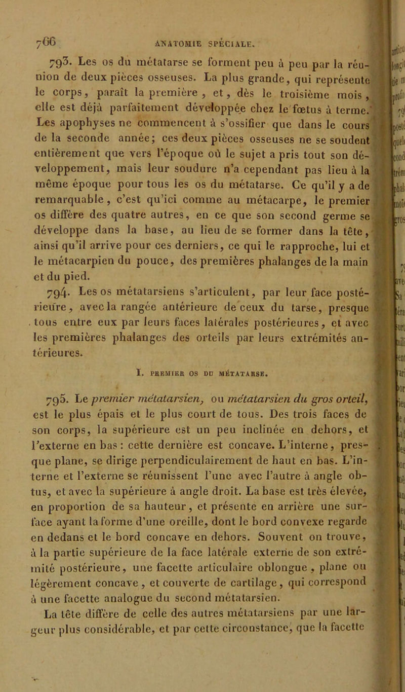 793. Les os du métatarse se forment peu à peu par la réu- nion de deux pièces osseuses. La plus grande, qui représente le corps, paraît la première , et, dès le troisième mois, elle est déjà parfaitement développée chez le fœtus à terme. Les apophyses ne commencent à s’ossifier que dans le cours de la seconde année; ces deux pièces osseuses ne se soudent entièrement que vers l’époque où le sujet a pris tout son dé- veloppement, mais leur soudure n’a cependant pas lieu à la même époque pour tous les os du métatarse. Ce qu’il y a de remarquable, c’est qu’ici comme au métacarpe, le premier os diffère des quatre autres, en ce que son second germe se développe dans la base, au lieu de se former dans la tête, ainsi qu’il arrive pour ces derniers, ce qui le rapproche, lui et le métacarpien du pouce, des premières phalanges delà main et du pied. 794. Les os métatarsiens s’articulent, par leur face posté- rieure, avec la rangée antérieure de ceux du tarse, presque . tous entre eux par leurs faces latérales postérieures, et avec les premières phalanges des orteils par leurs extrémités an- térieures. I. PREMIER OS DD METATARSE. 795. Le premier métatarsien? ou métatarsien du gros orteil, est le plus épais et le plus court de tous. Des trois faces de son corps, la supérieure est un peu inclinée en dehors, et l’externe en bas: cette dernière est concave. L’interne, pres- que plane, se dirige perpendiculairement de haut en bas. L’in- terne et l’externe se réunissent l’une avec l’autre à angle ob- tus, et avec la supérieure à angle droit. La base est très élevée, en proportion de sa hauteur, et présente en arrière une sur- face ayant la forme d’une oreille, dont le bord convexe regarde en dedans et le bord concave en dehors. Souvent on trouve, à la partie supérieure de la face latérale externe de son extré- mité postérieure, une facette articulaire oblongue , plane ou légèrement concave , et couverte de cartilage, qui correspond à une facette analogue du second métatarsien. La tête diffère de celle des autres métatarsiens par une lar- geur plus considérable, et par cette circonstance, que la facette