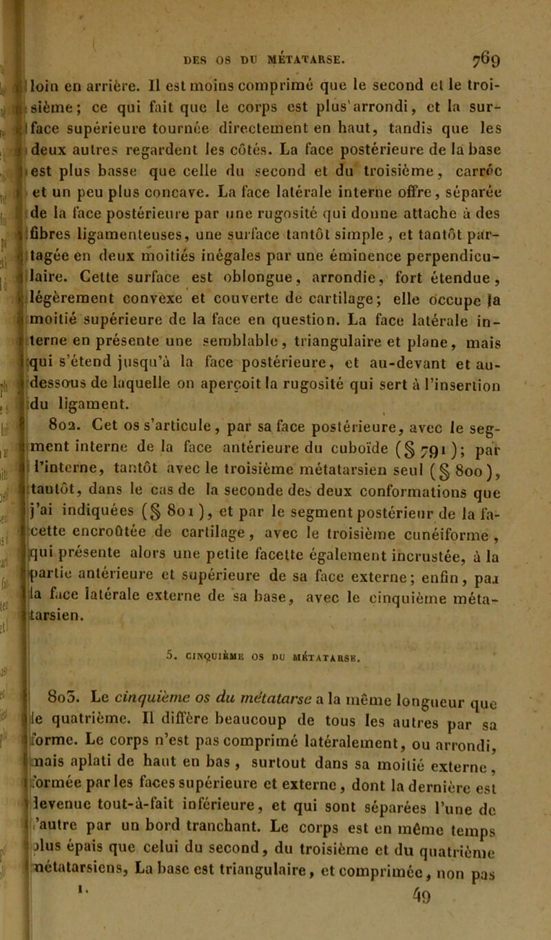 loin en arrière. Il est moins comprimé que le second el le troi- sième; ce qui fait que le corps est plus'arrondi, et la sur- face supérieure tournée directement en haut, tandis que les deux autres regardent les côtés. La face postérieure de la base est plus basse que celle du second et du troisième, carrée et un peu plus concave. La face latérale interne offre, séparée de la face postérieure par une rugosité qui donne attache à des fibres ligamenteuses, une surlace tantôt simple , et tantôt par- tagée en deux moitiés inégales par une éminence perpendicu- laire. Cette surface est oblongue, arrondie, fort étendue, légèrement convexe et couverte de cartilage; elle occupe la moitié supérieure de la face en question. La face latérale in- terne en présente une semblable, triangulaire et plane, mais qui s’étend jusqu’à la face postérieure, et au-devant et au- dessous de laquelle on aperçoit la rugosité qui sert à l’insertion tdu ligament. 802. Cet os s’articule , par sa face postérieure, avec le seg- ment interne de la face antérieure du cuboïde (§ 791 ); par l’interne, tantôt avec le troisième métatarsien seul (§ 800), taulôt, dans le cas de la seconde des deux conformations que j’ai indiquées (§ 801 ), et par le segment postérieur de la fa- cette encroûtée de cartilage, avec le troisième cunéiforme, qui présente alors une petite facette également incrustée, à la partie antérieure et supérieure de sa face externe; enfin, pa.i la face latérale externe de sa base, avec le cinquième méta- tarsien. 5. CINQUIÈME OS DU MBTATABSB. 8o5. Le cinquième os du métatarse a la même longueur que i le quatrième. Il diffère beaucoup de tous les autres par sa forme. Le corps n’est pas comprimé latéralement, ou arrondi, mais aplati de haut en bas , surtout dans sa moitié externe. I ’ormée par les faces supérieure et externe, dont la dernière est levenue tout-à-fait inférieure, et qui sont séparées l’une de autre par un bord tranchant. Le corps est en même temps alus épais que celui du second, du troisième et du quatrième métatarsiens, La base est triangulaire, et comprimée, non pas *' 49