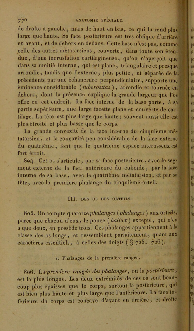 de droite gauche, mais de haut en bas, oc qui la rend plus '• large que haute. Sa face postérieure est très oblique d’arrière en avant, et de dehors en dedans. Cette base n’est pas, comme ' celle des autres métatarsiens , couverte, dans toute son éten- ; due, d’une incrustation cartilagineuse, qu’on n’aperçoit que dans sa moitié interne , qui est plane, triangulaire et presque j arrondie, tandis que l’externe, plus petite, et séparée de la- précédente par une échancrure perpendiculaire, supporte une éminence considérable ( tuberositas ), arrondie et tournée en ; dehors, dont la présence explique la grande largeur que l’os'/ offre en cet endroit. La face interne de la base porte, à sa ; partie supérieure, une large facette plane et couverte de car- ' tilage. La tête est plus large que haute; souvent aussi elle est ! plus étroite et plus basse que le corps. La grande convexité de la face interne du cinquième mé- £ tatarsien, et la concavité peu considérable de la face externe ■ du quatrième, font que le quatrième espace interosseux est ■ fort étroit. 8«4- Cet os s’articule, par sa face postérieure, avec le seg- > ment externe de la fac.j antérieure du cuboïde, par la face interne de sa base, avec le quatrième métatarsien, et par sa J tête, avec la première phalange du cinquième orteil. * III. DES OS DES ORTEILS. 805. On compte quatorze phalanges (phalanges) aux orteils, j parce que chacun d’eux, le pouce (halliix) excepté, qui n’en a que deux, en possède trois. Ces phalanges appartiennent à la classe des os longs, et ressemblent parfaitement, quant aux caractères essentiels, à celles des doigts (§ 725, 726). 1. rhalangcs de la première rangée. 806. La première rangée des phalanges, ou la postérieure, est la plus longue. Les deux extrémités de ces os sont beau- coup plus épaisses que le corps, surtout la postérieure, qui est bien plus haute et plus large que l’antérieure. La face in- férieure du corps est concave d’avant en arrière, et droite fi RI ra et P ro ci( SU1 é I n en en m . ! OTI au en ro Te pt les rin fit ge % <|'i! qui fe,