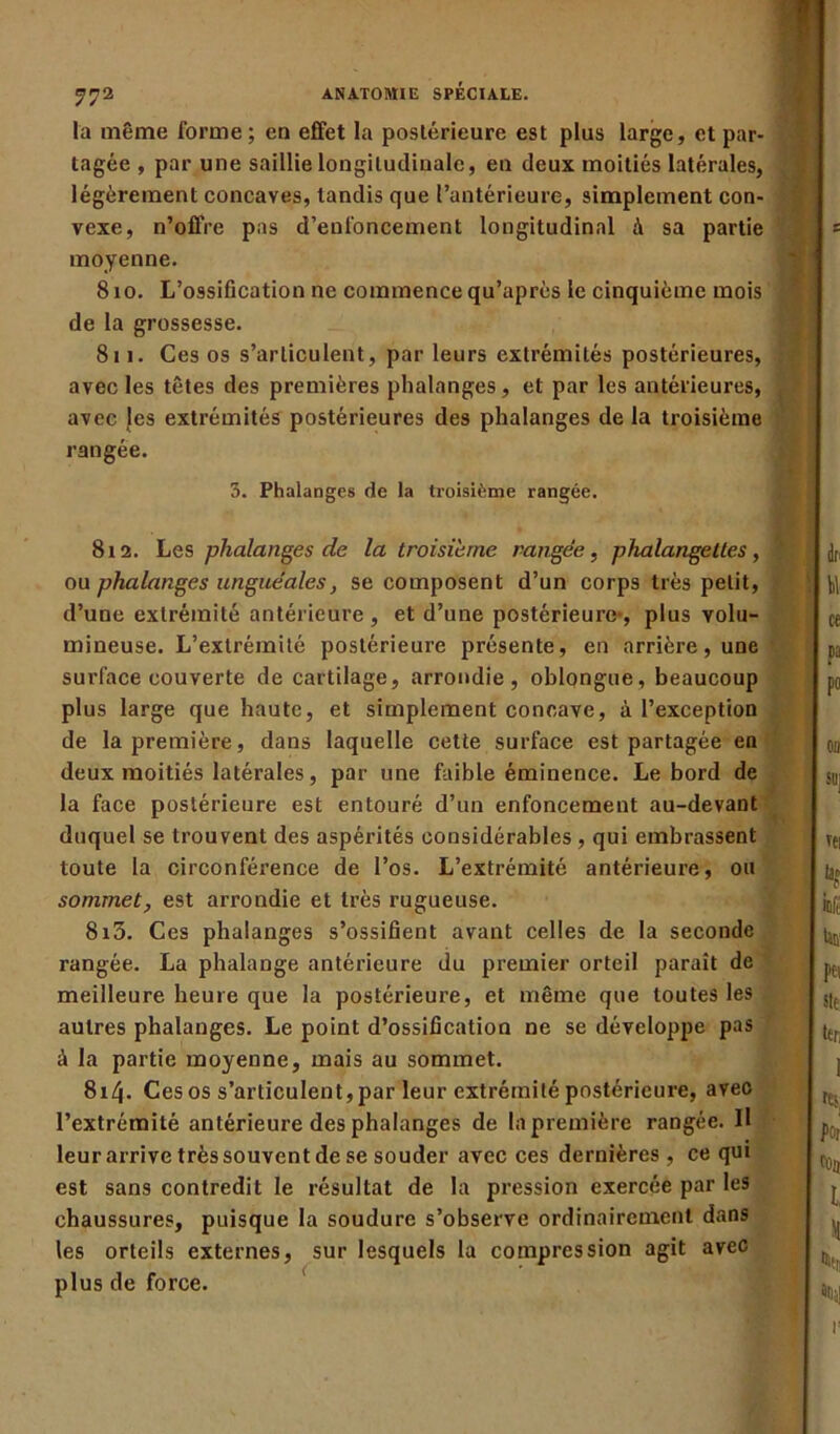 la même forme ; en effet la postérieure est plus large, et par- tagée , par une saillie longitudinale, en deux moitiés latérales, légèrement concaves, tandis que l’antérieure, simplement con- vexe, n’offre pas d’enloncement longitudinal à sa partie moyenne. 8 io. L’ossification ne commence qu’après le cinquième mois de la grossesse. 811. Ces os s’articulent, par leurs extrémités postérieures, avec les têtes des premières phalanges, et par les antérieures, avec Jes extrémités postérieures des phalanges de la troisième rangée. 3. Phalanges de la troisième rangée. 812. Les phalanges de la troisième rangée, phalangettes, ou phalanges unguéales, se composent d’un corps très petit, d’une extrémité antérieure, et d’une postérieure-, plus volu- mineuse. L’extrémité postérieure présente, en arrière, une surface couverte de cartilage, arrondie, oblongue, beaucoup plus large que haute, et simplement concave, à l’exception de la première, dans laquelle cette surface est partagée en deux moitiés latérales, par une faible éminence. Le bord de la face postérieure est entouré d’un enfoncement au-devant duquel se trouvent des aspérités considérables, qui embrassent toute la circonférence de l’os. L’extrémité antérieure, ou sommet, est arrondie et très rugueuse. 813. Ces phalanges s’ossifient avant celles de la seconde rangée. La phalange antérieure du premier orteil paraît de meilleure heure que la postérieure, et même que toutes les autres phalanges. Le point d’ossification ne se développe pas à la partie moyenne, mais au sommet. 8i/J. Ces os s’articulent, par leur extrémité postérieure, avec l’extrémité antérieure des phalanges de la première rangée. II leur arrive très souvent de se souder avec ces dernières, ce qui est sans contredit le résultat de la pression exercée par les chaussures, puisque la soudure s’observe ordinairement dans les orteils externes, sur lesquels la compression agit avec plus de force.